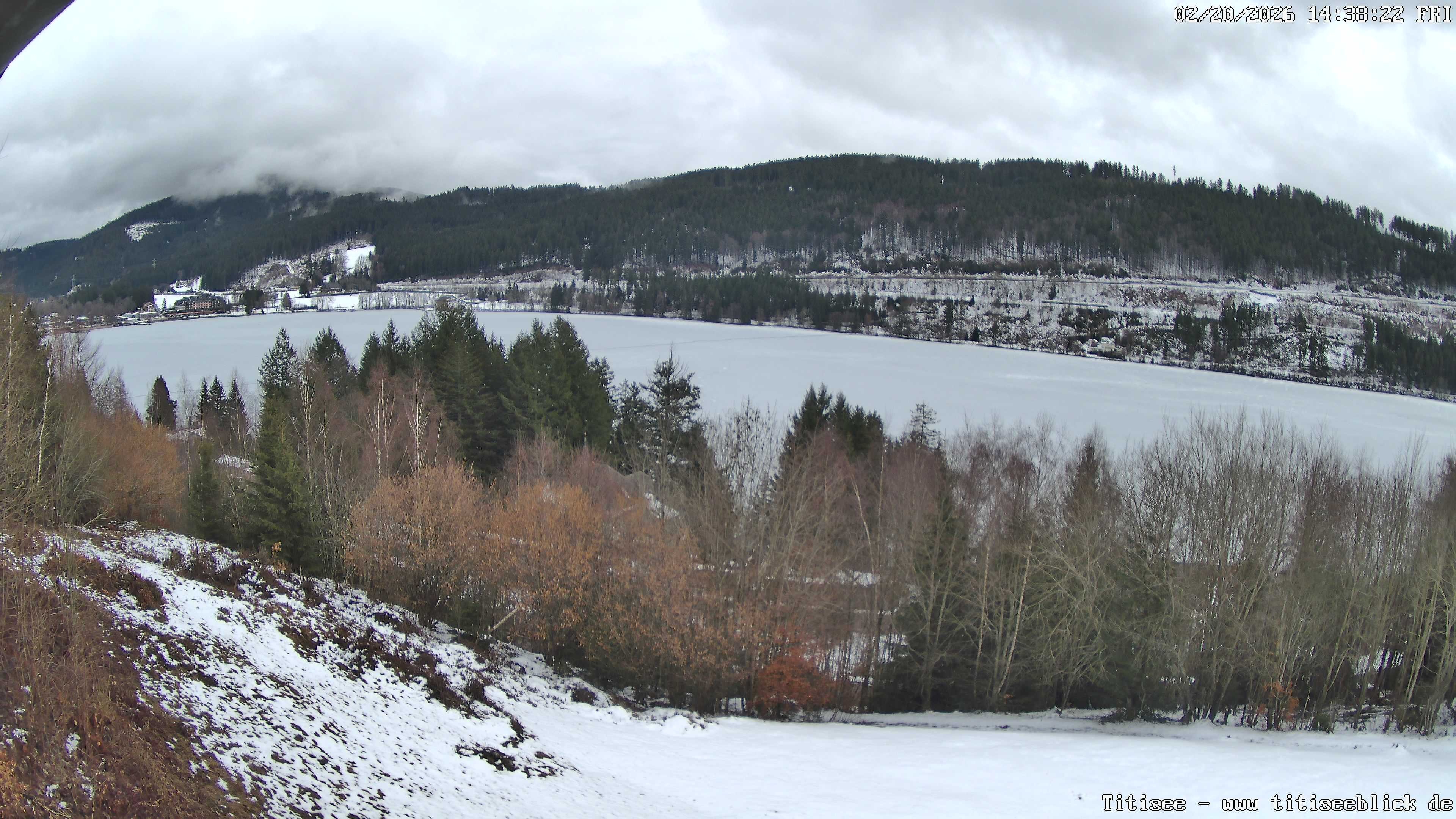 Archiv Foto Webcam Titisee: Westufer