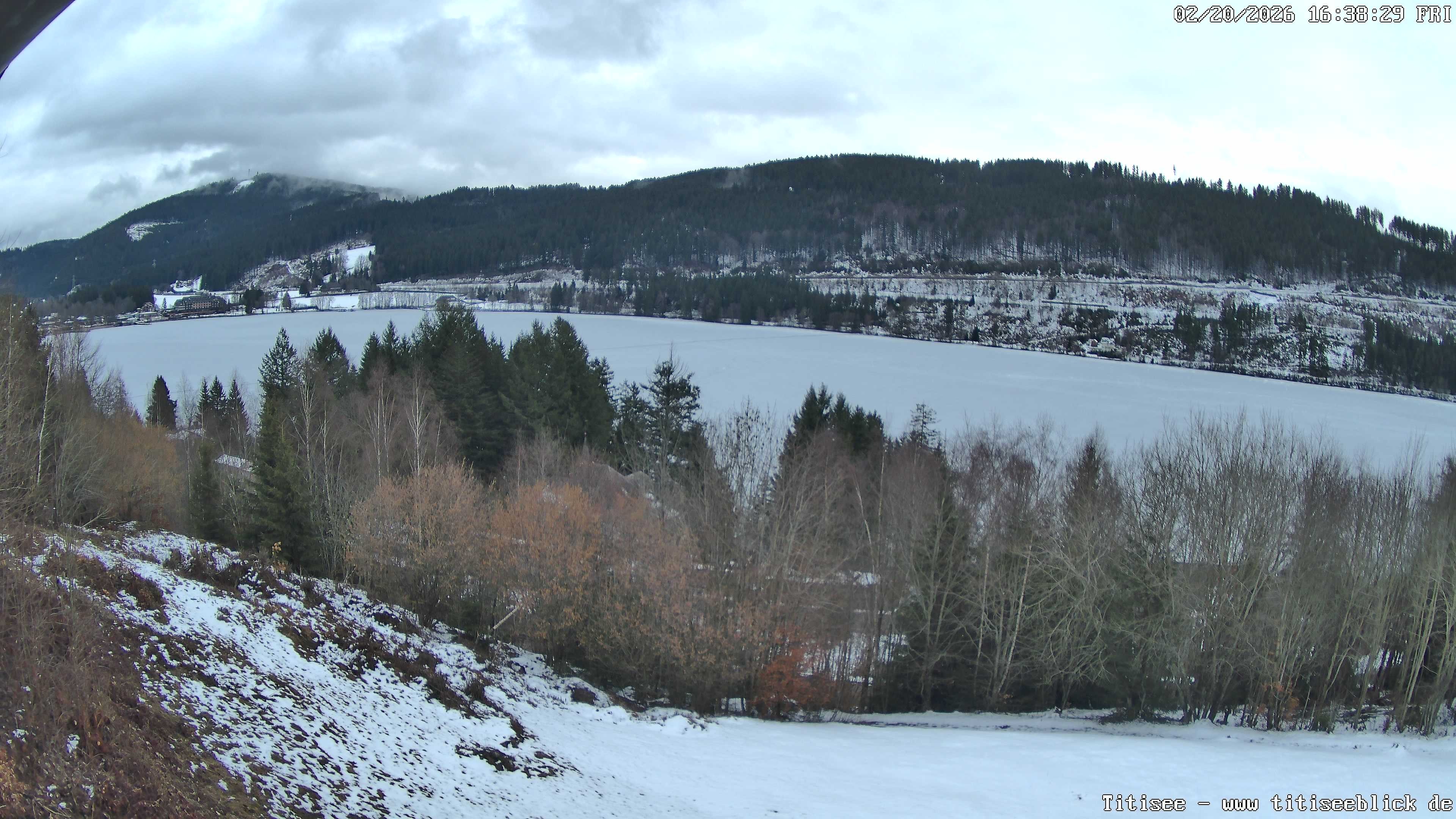 Archiv Foto Webcam Titisee: Westufer