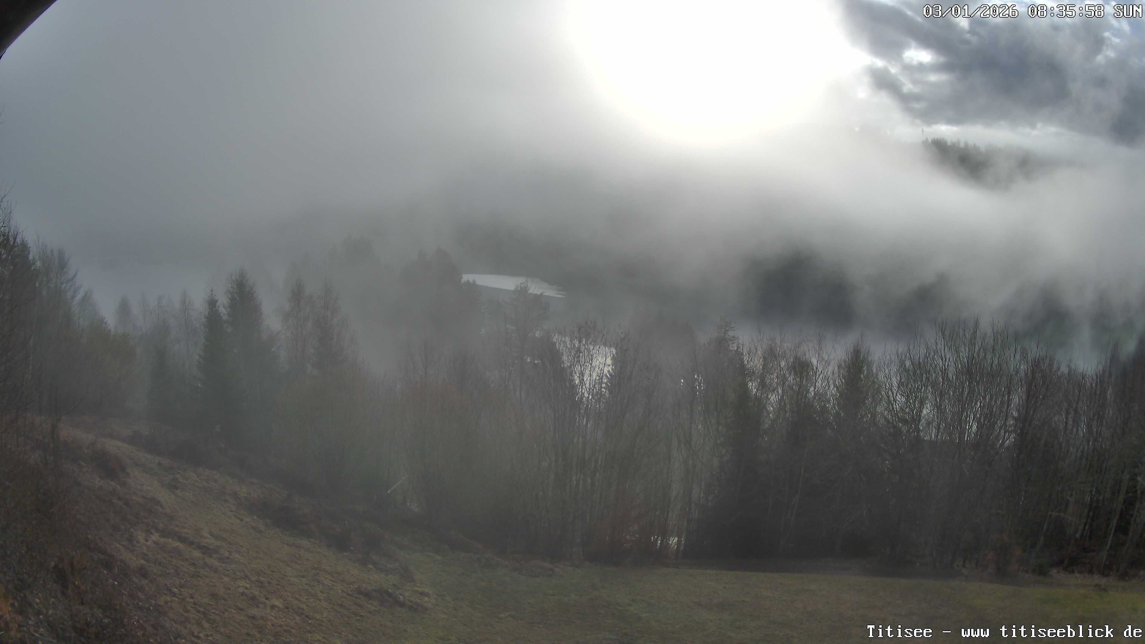 Archiv Foto Webcam Titisee: Westufer