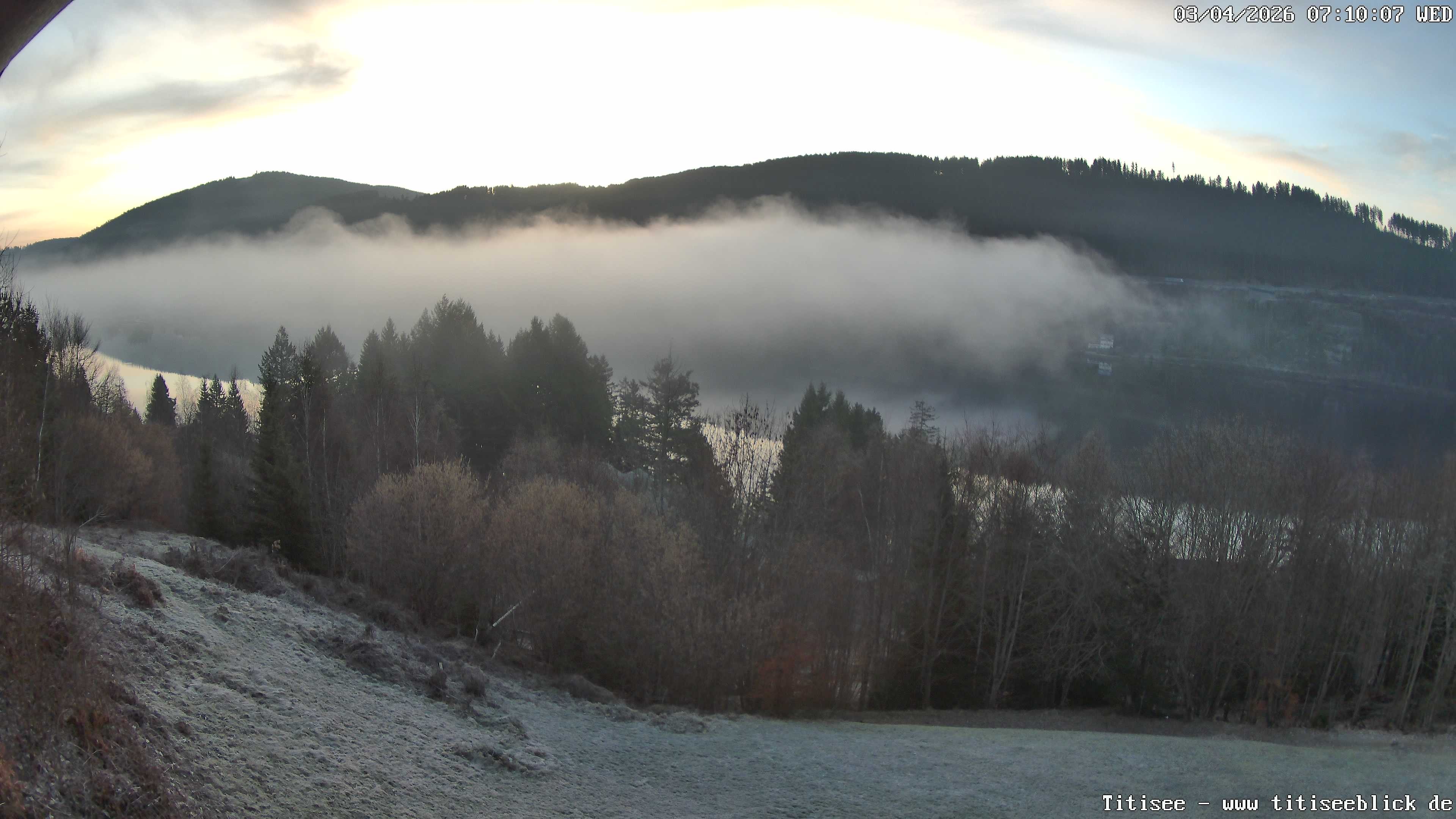 Archiv Foto Webcam Titisee: Westufer