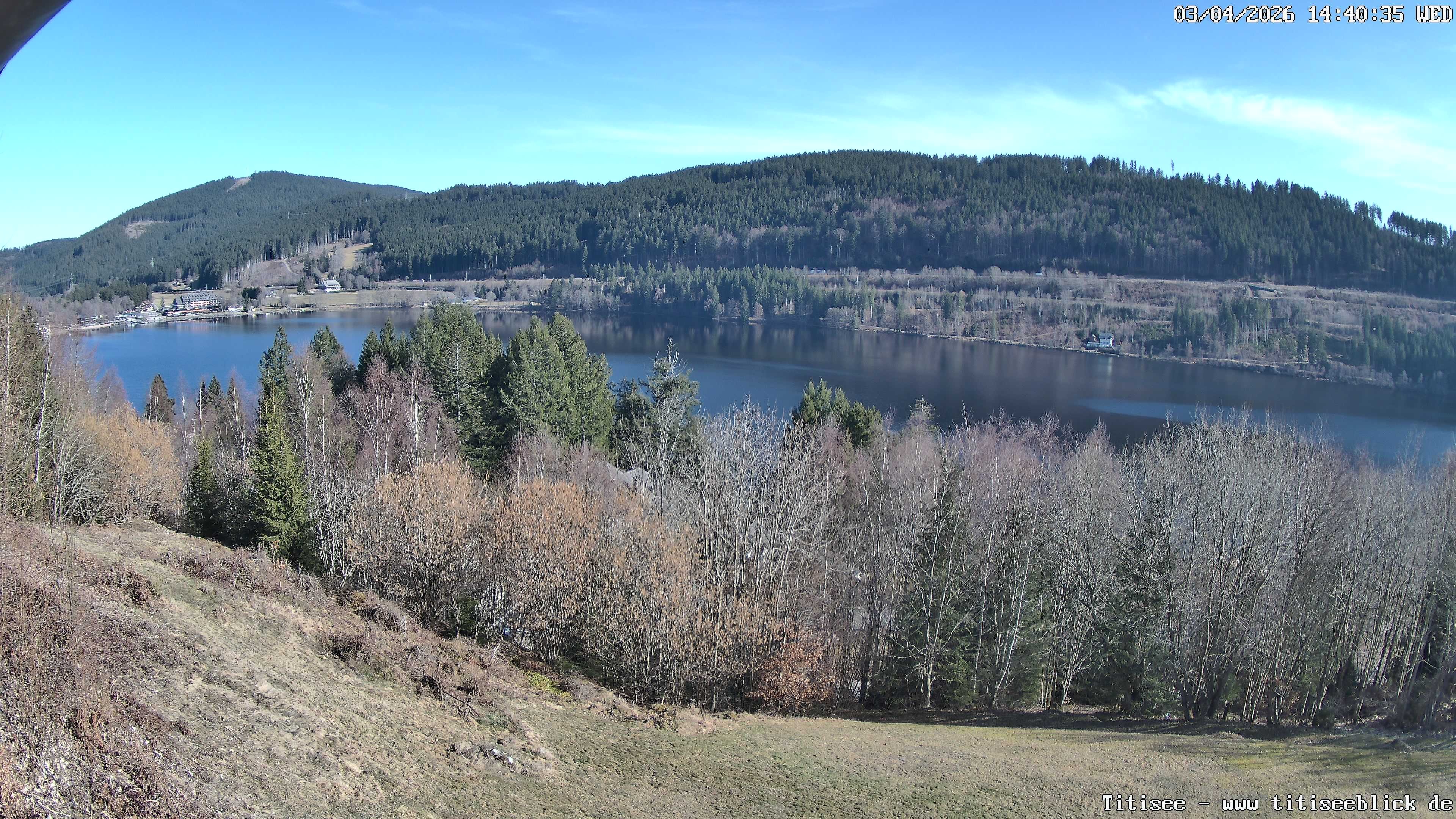 Archiv Foto Webcam Titisee: Westufer