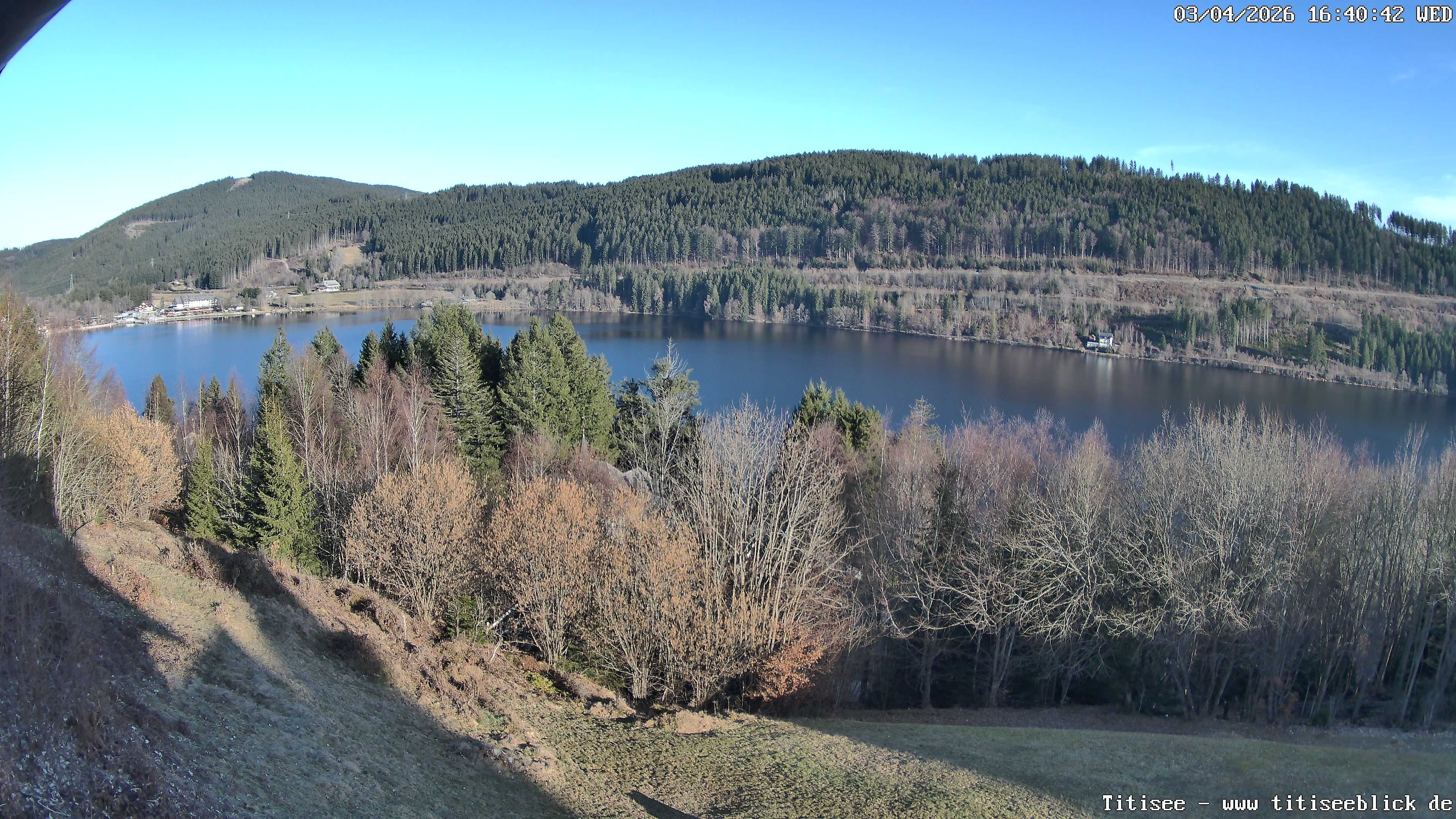 Archiv Foto Webcam Titisee: Westufer