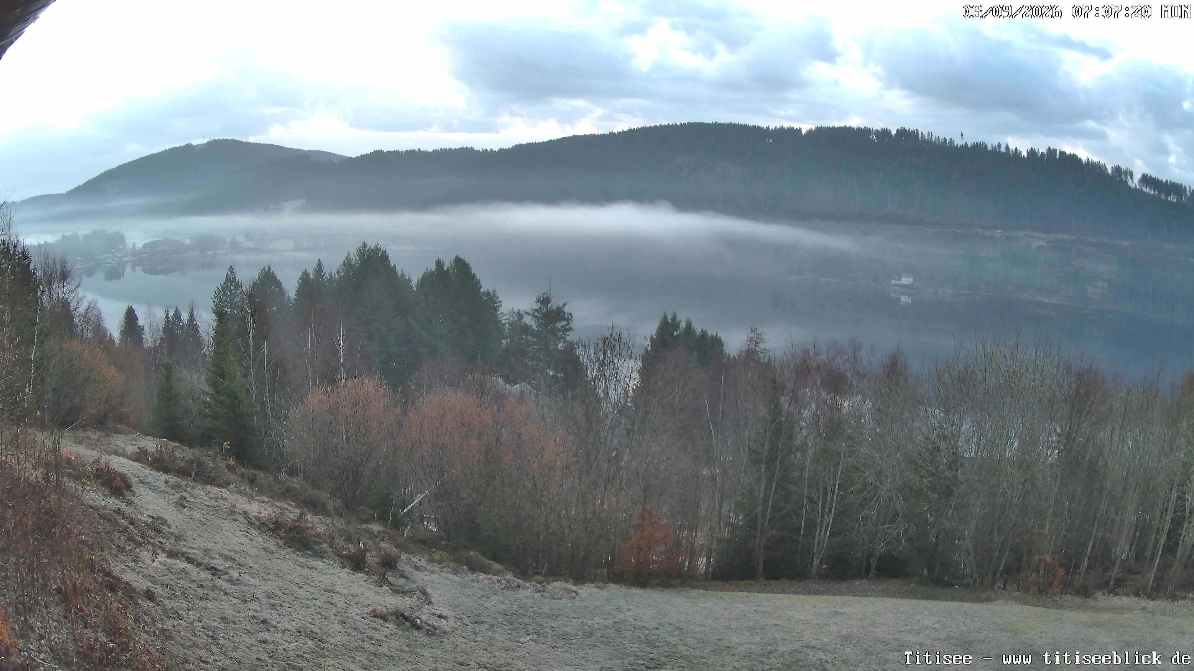 Archiv Foto Webcam Titisee: Westufer