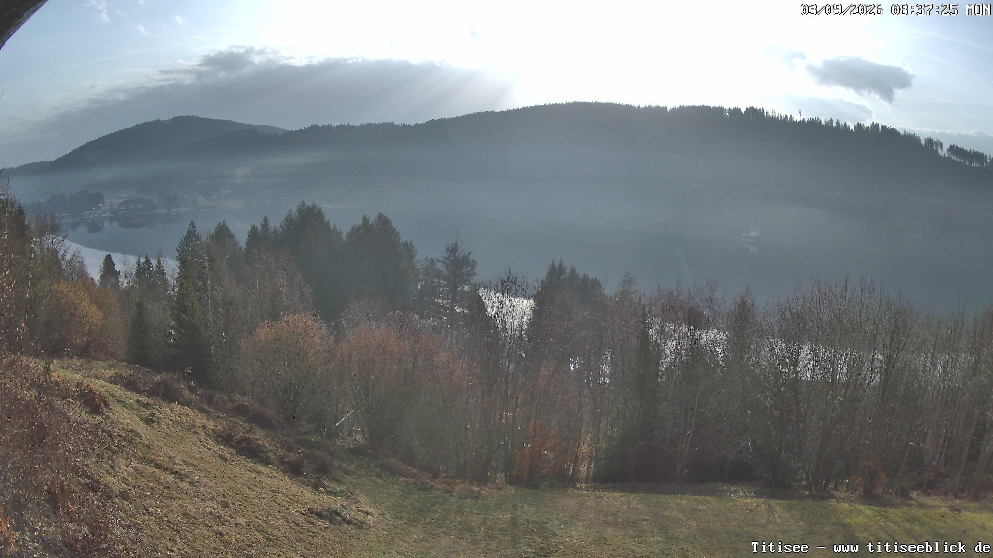 Archiv Foto Webcam Titisee: Westufer