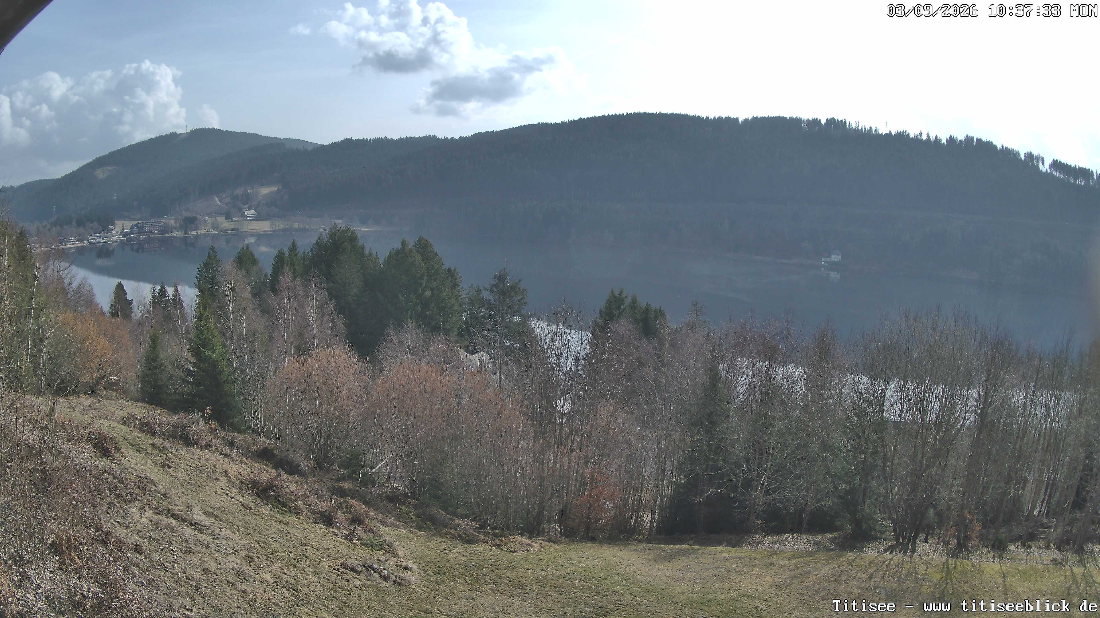 Archiv Foto Webcam Titisee: Westufer