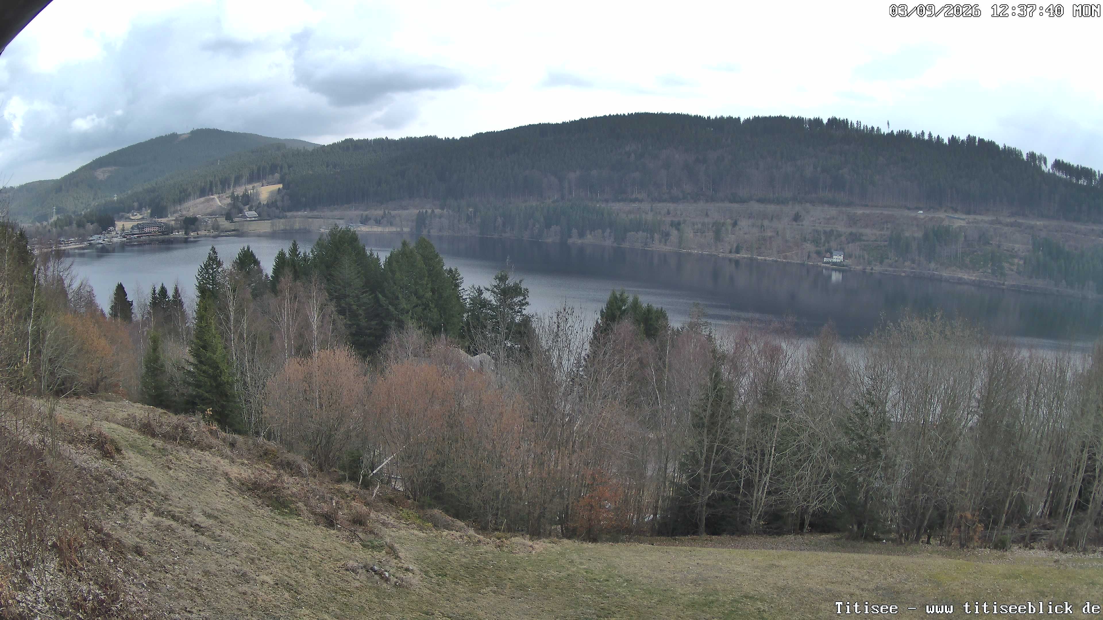Archiv Foto Webcam Titisee: Westufer