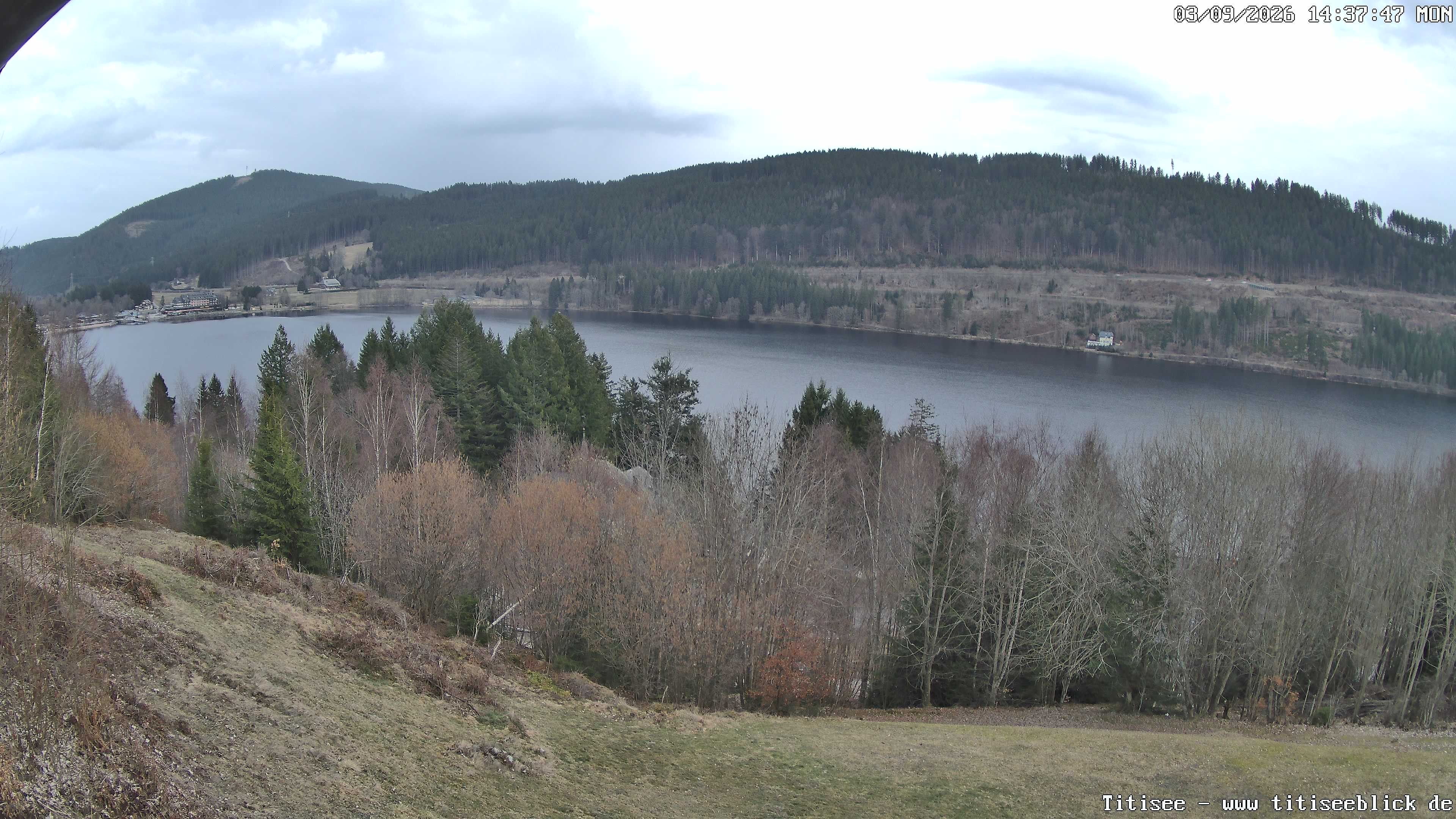 Archiv Foto Webcam Titisee: Westufer