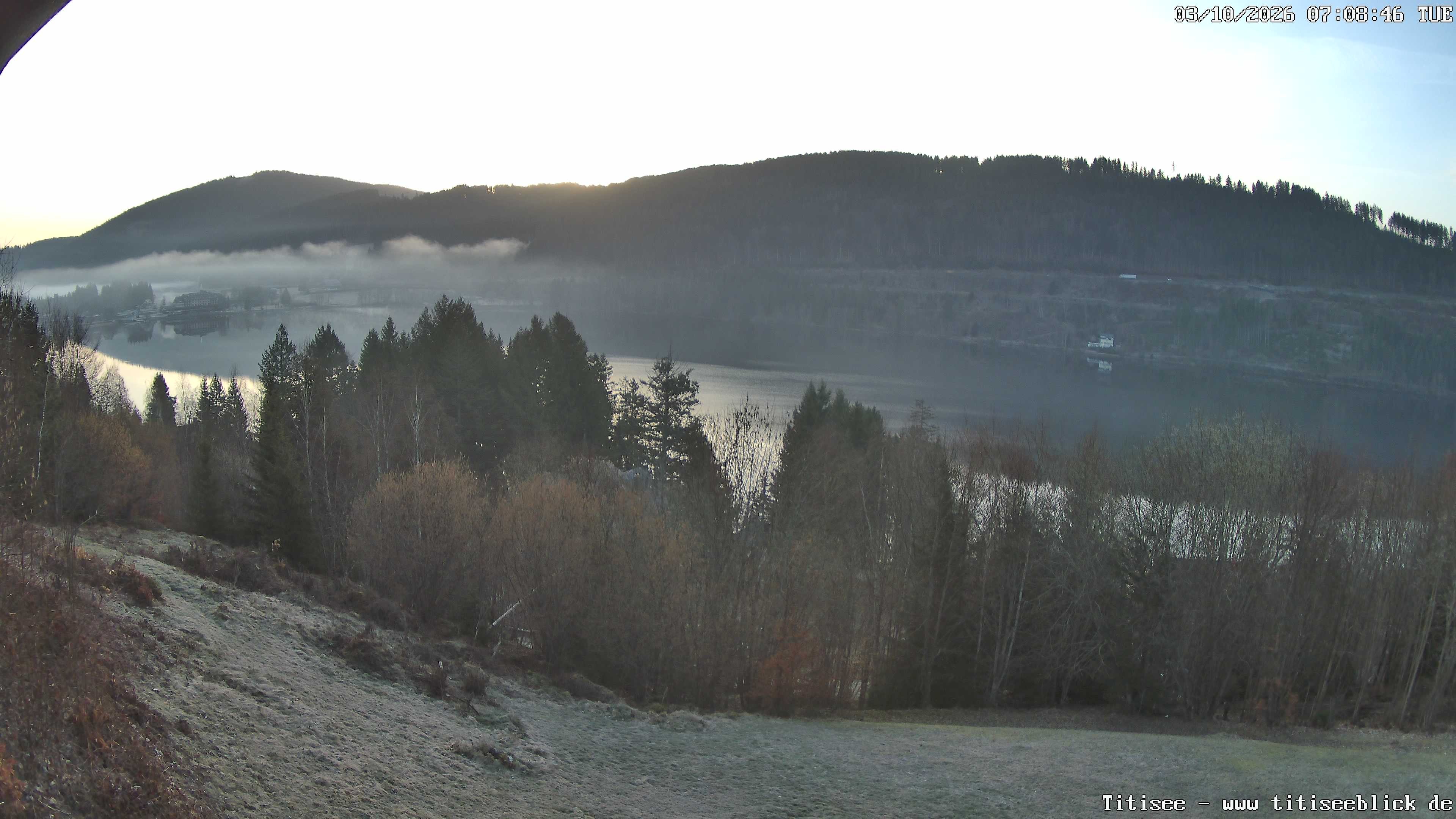 Archiv Foto Webcam Titisee: Westufer