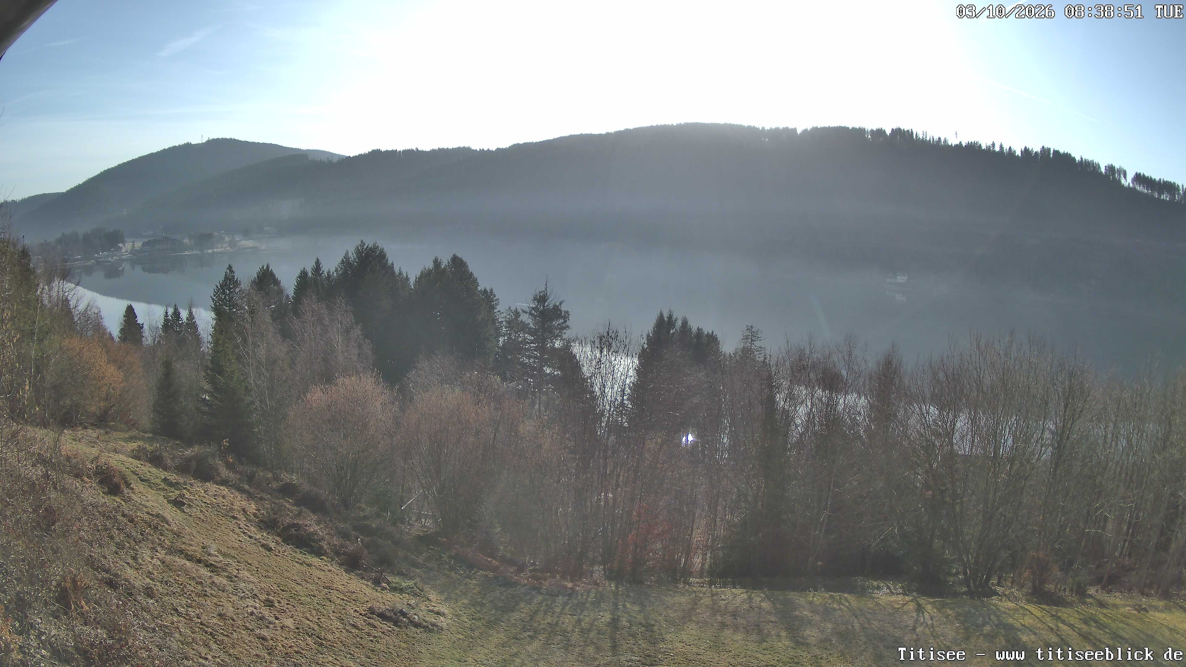 Archiv Foto Webcam Titisee: Westufer