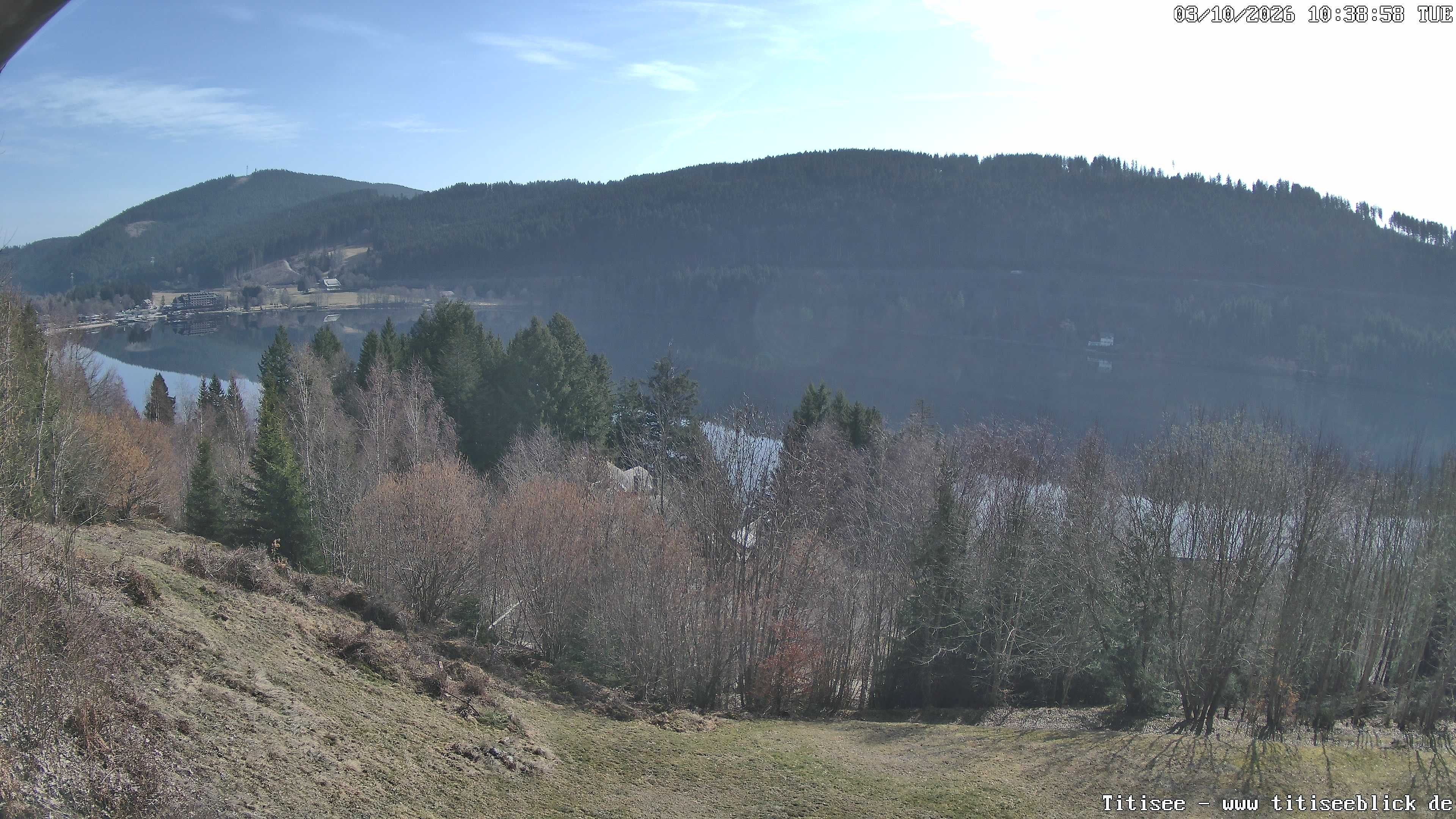 Archiv Foto Webcam Titisee: Westufer