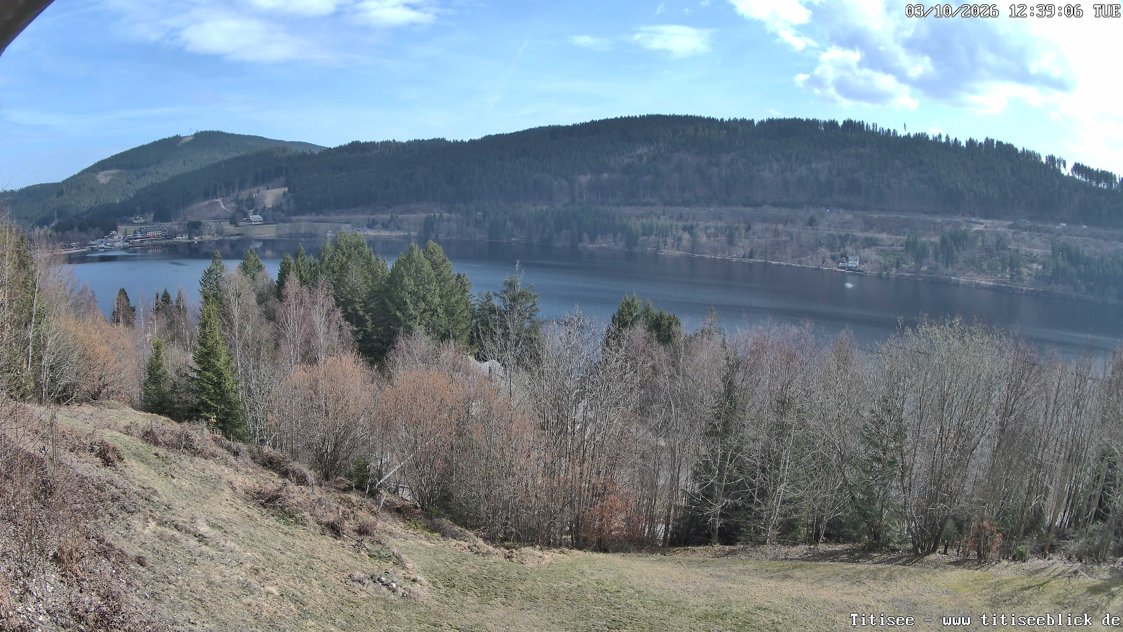 Archiv Foto Webcam Titisee: Westufer