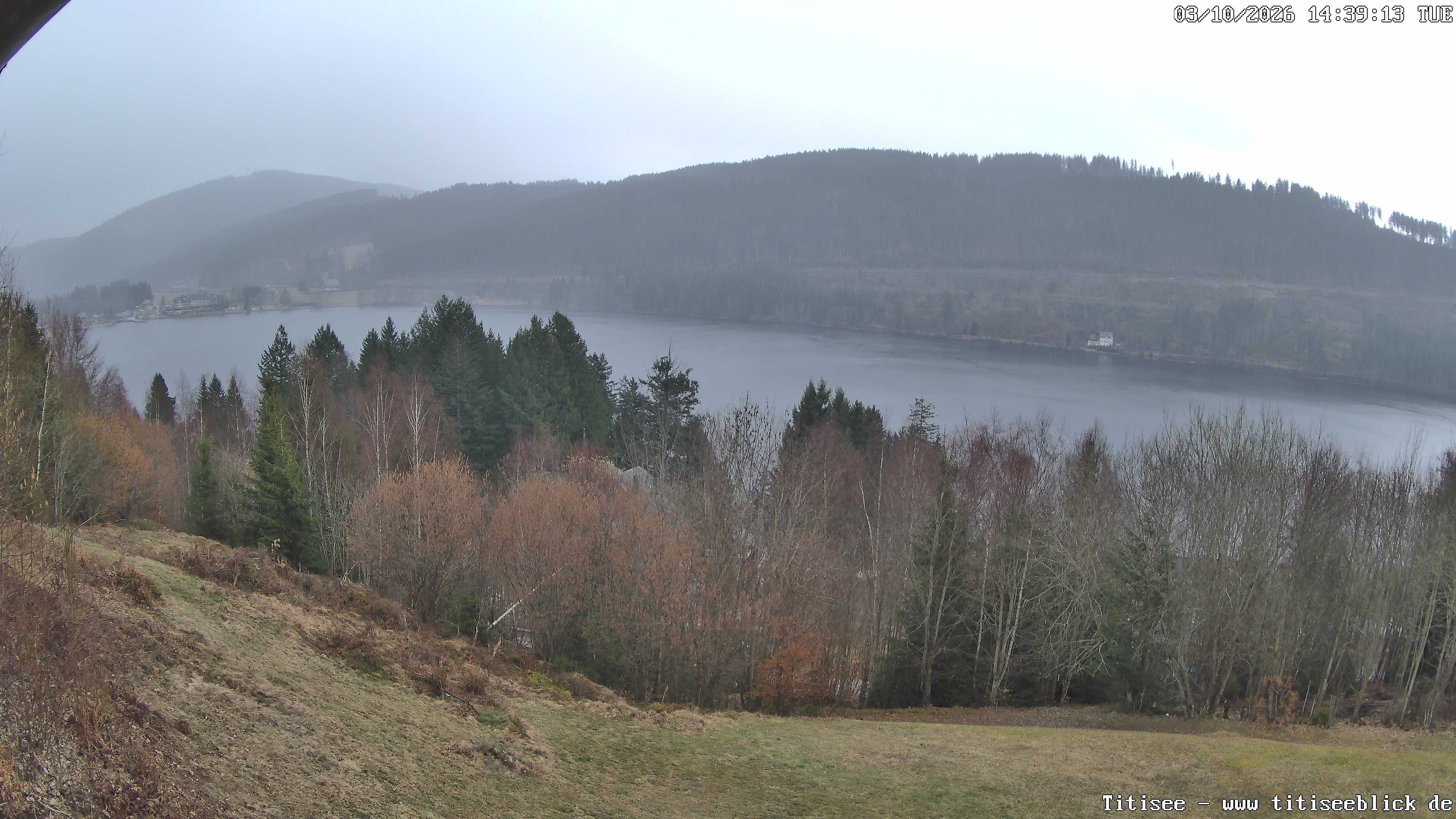 Archiv Foto Webcam Titisee: Westufer