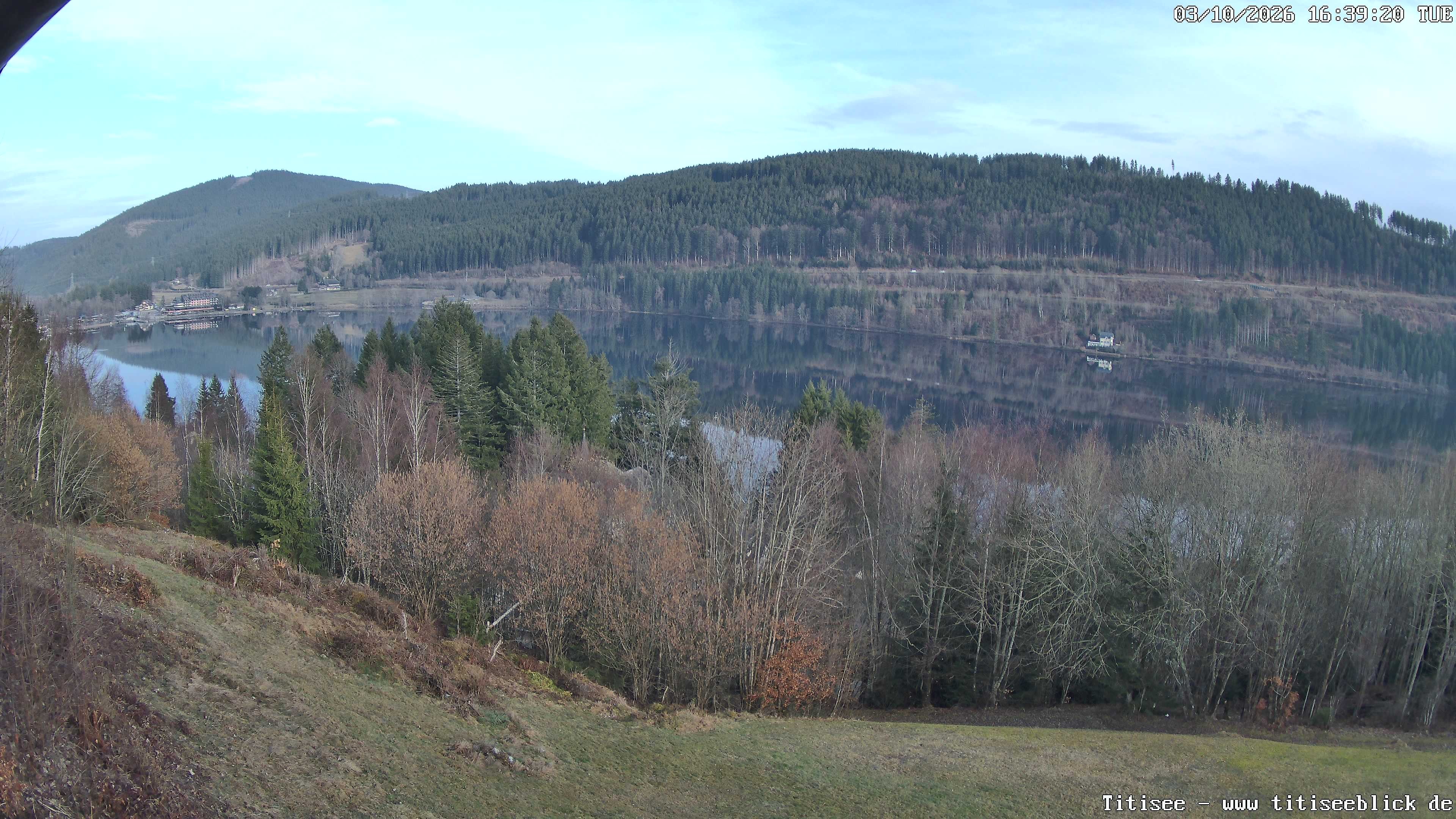 Archiv Foto Webcam Titisee: Westufer