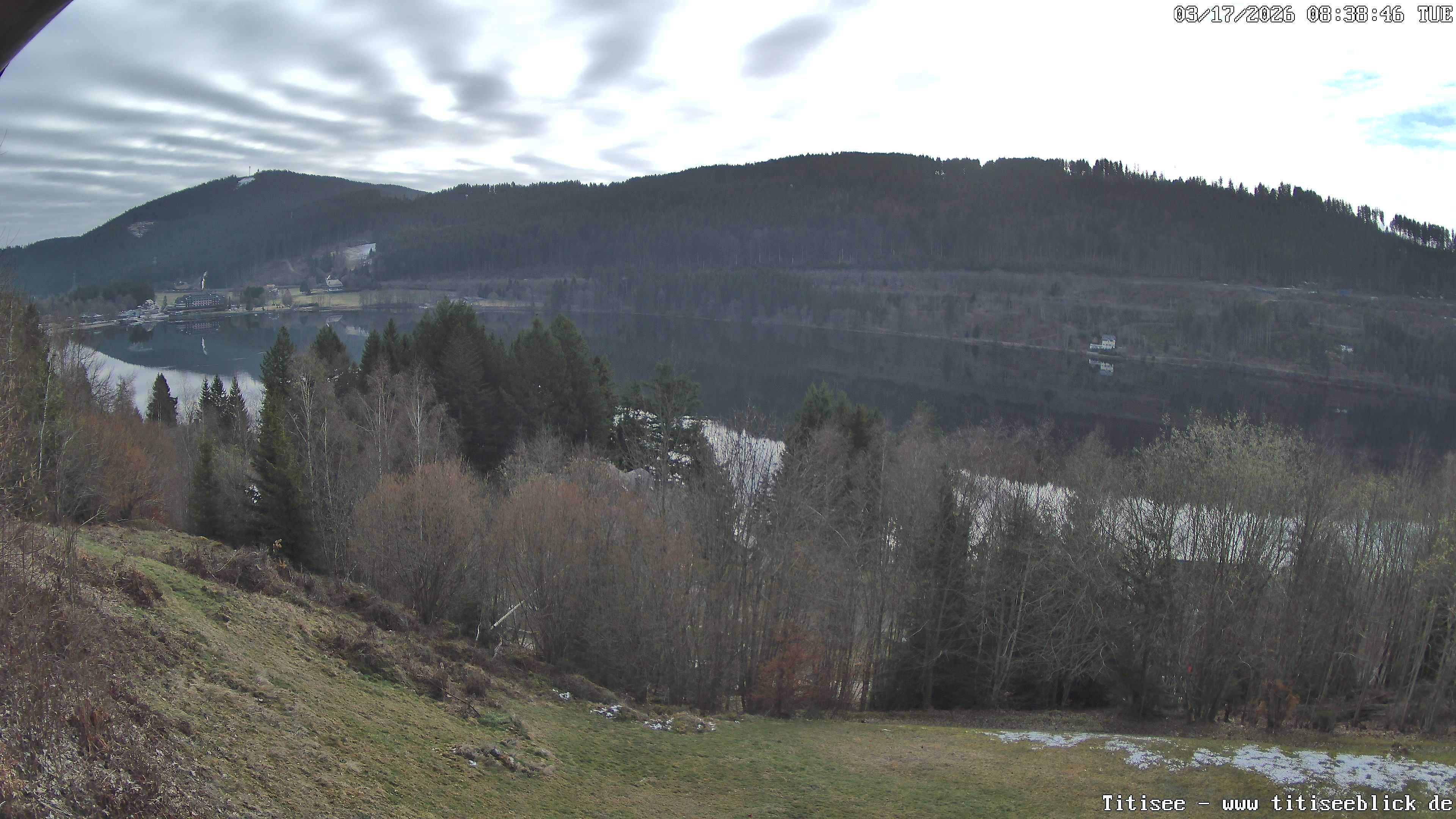 Archiv Foto Webcam Titisee: Westufer