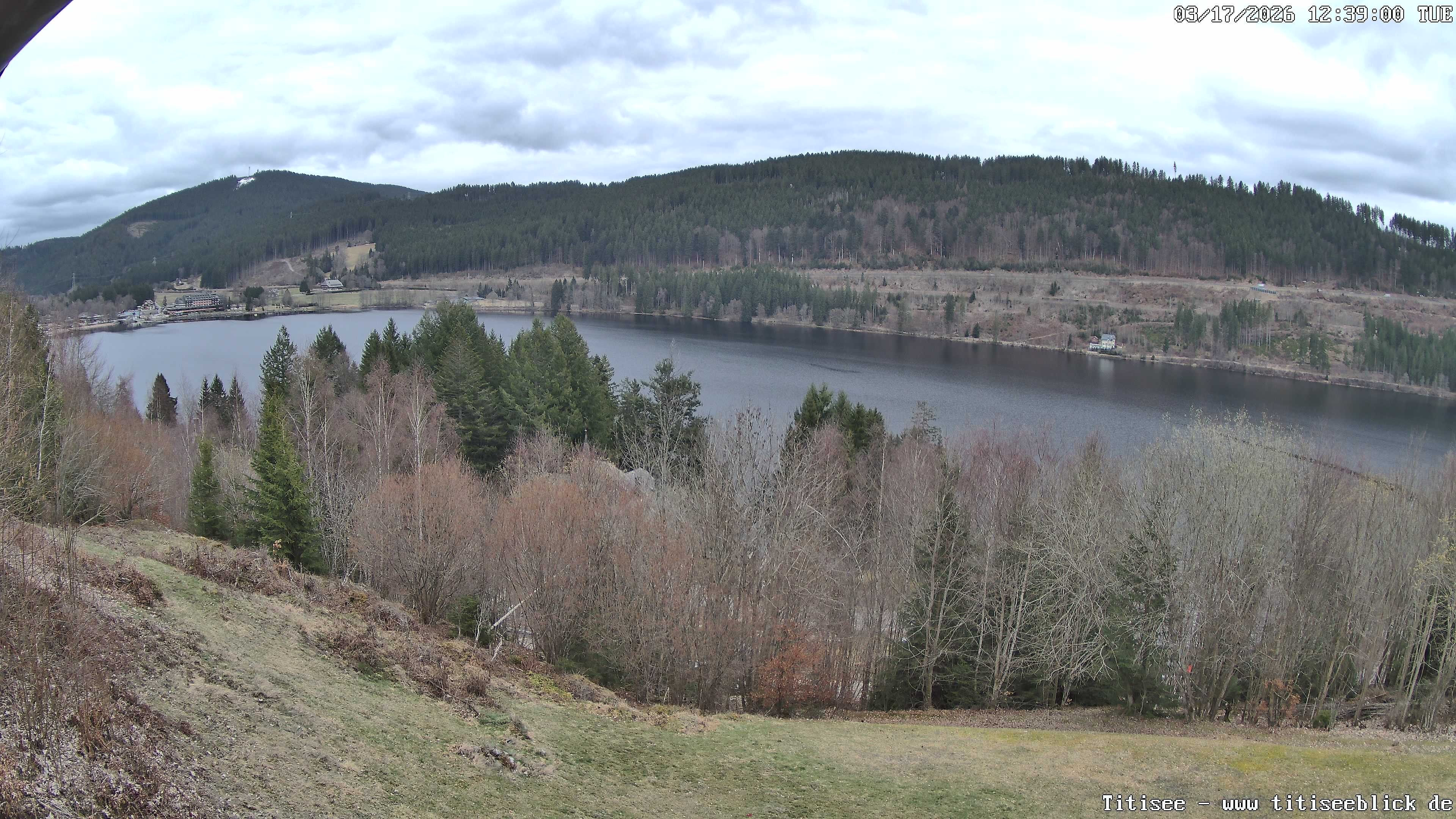Archiv Foto Webcam Titisee: Westufer