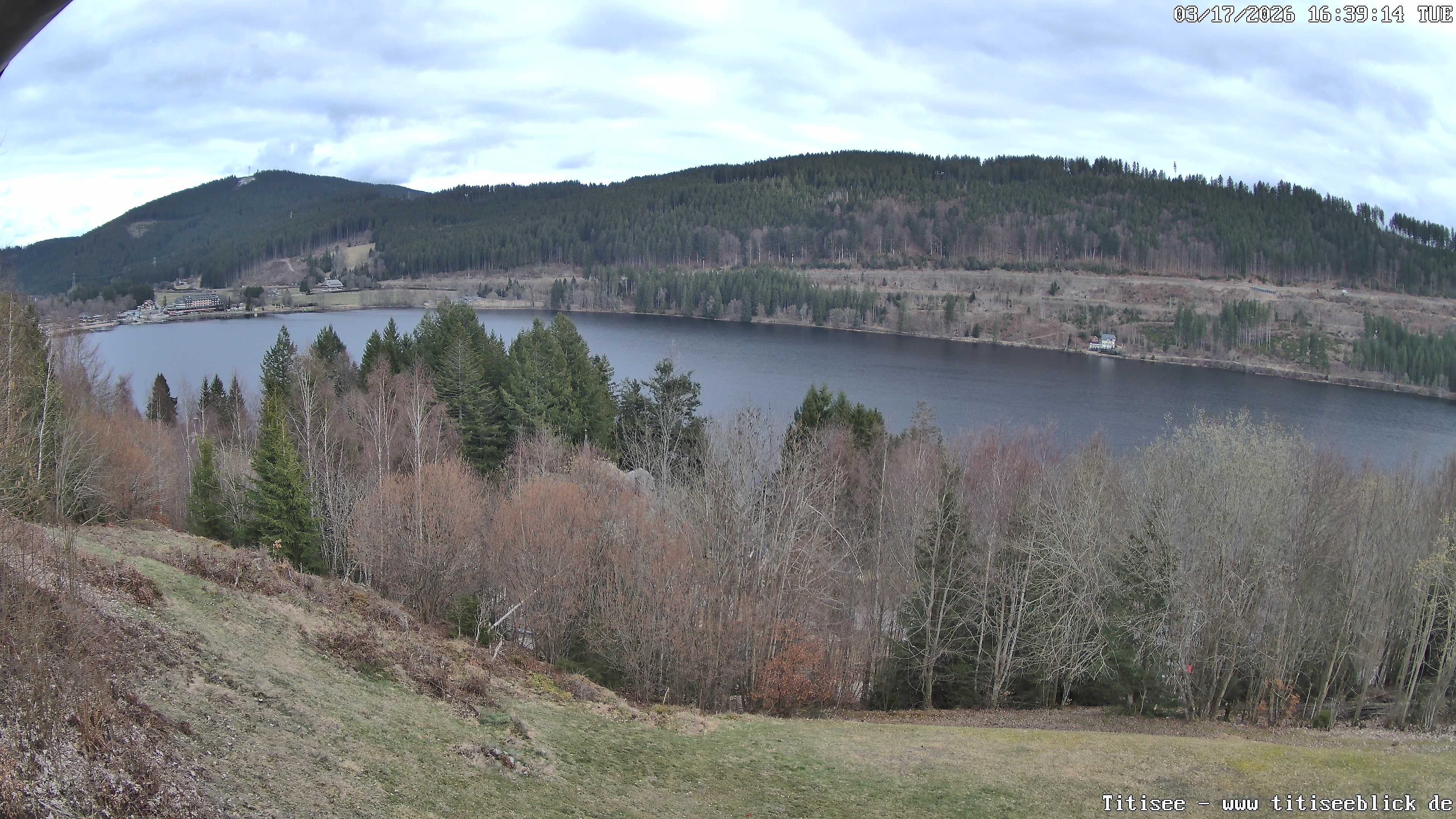 Archiv Foto Webcam Titisee: Westufer