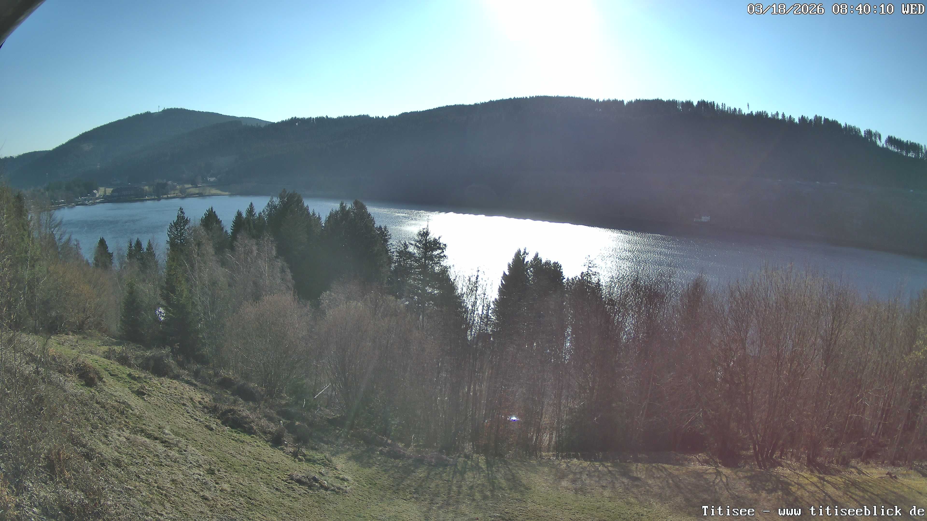 Archiv Foto Webcam Titisee: Westufer