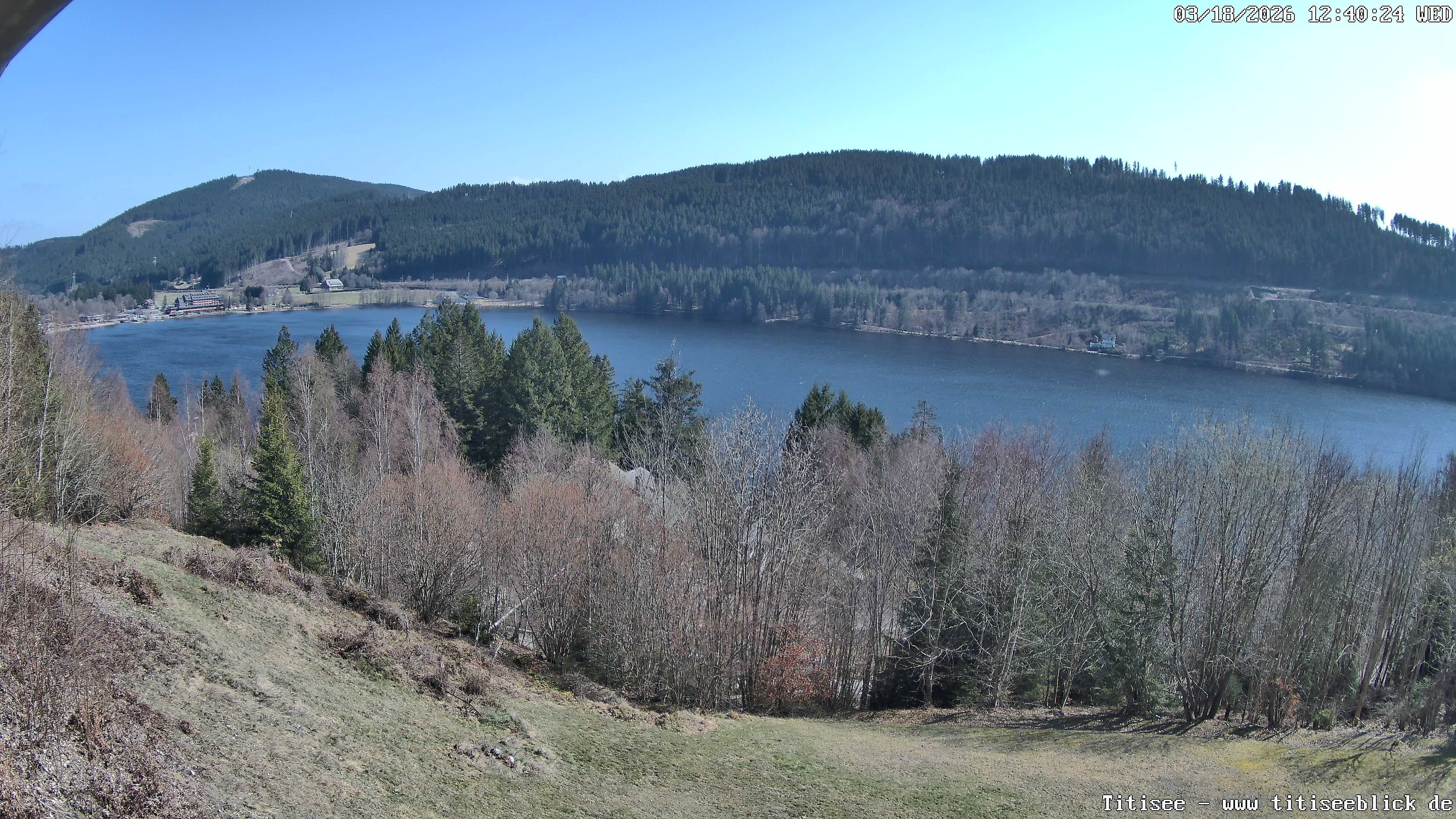 Archiv Foto Webcam Titisee: Westufer