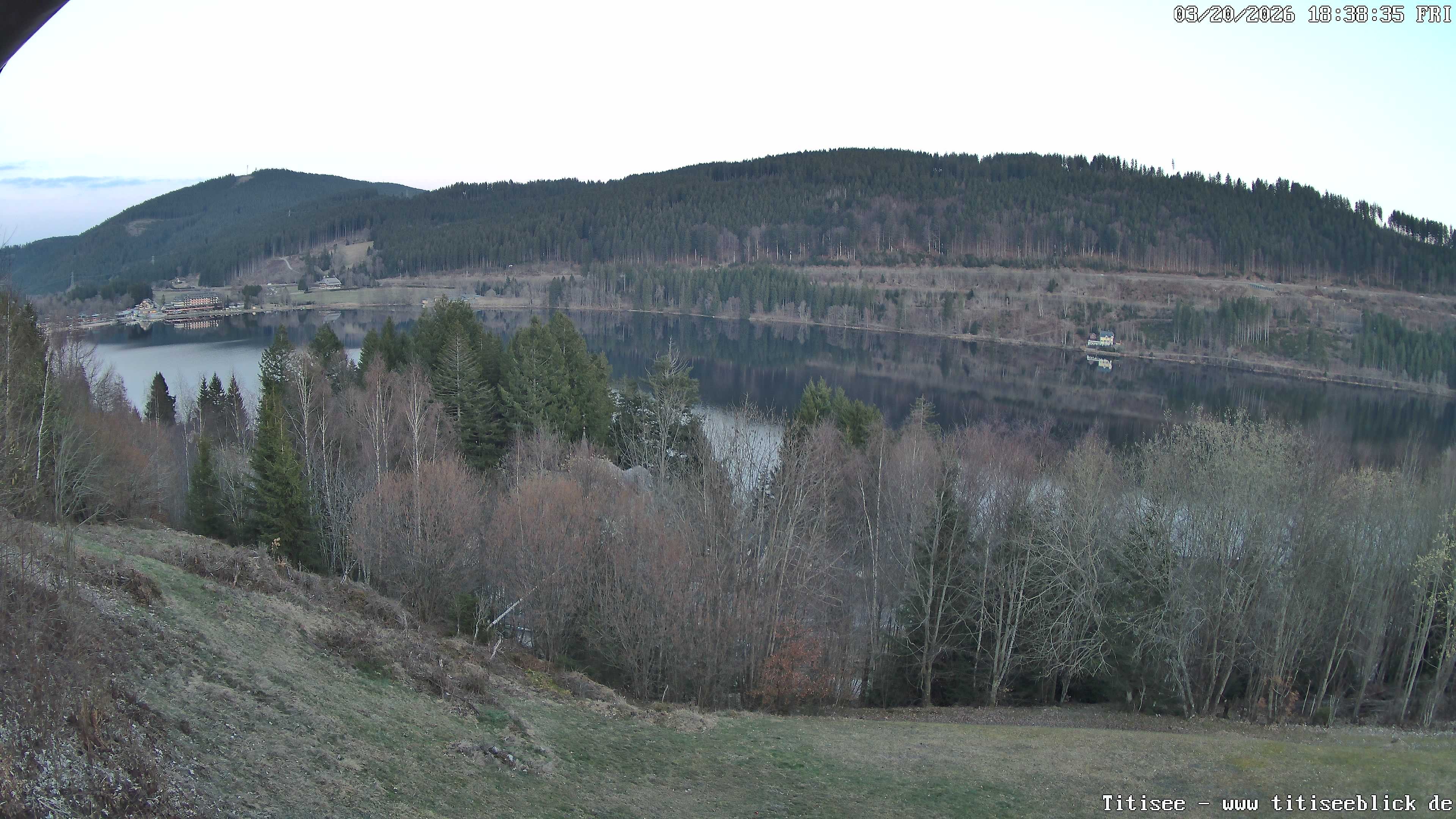 Archiv Foto Webcam Titisee: Westufer