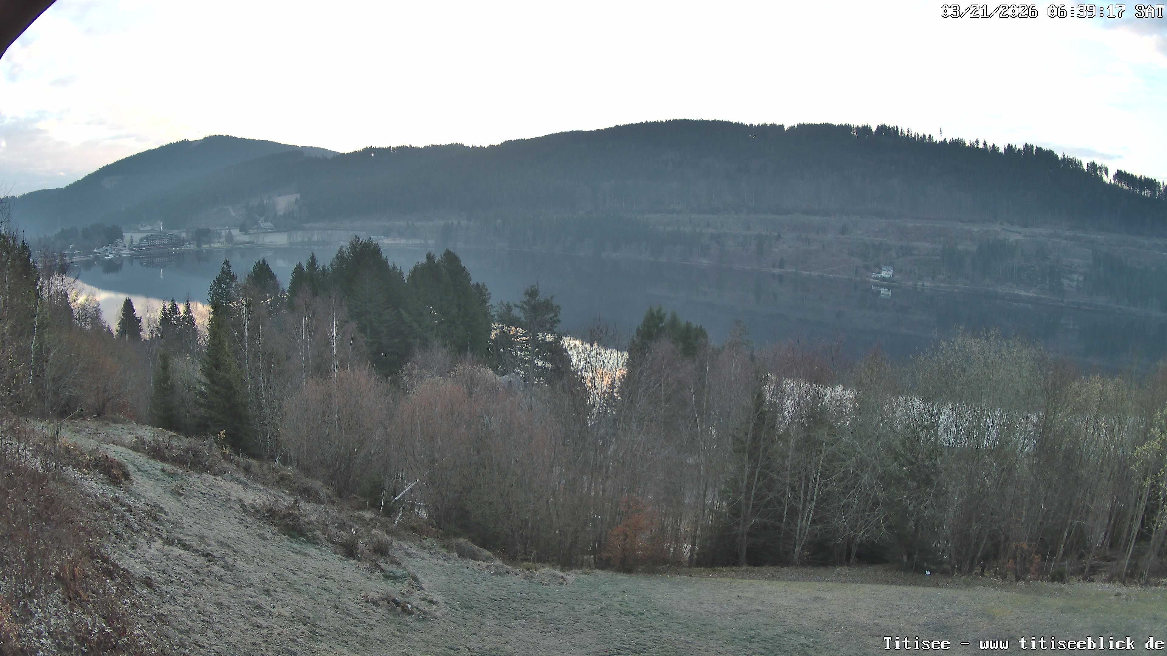 Archiv Foto Webcam Titisee: Westufer