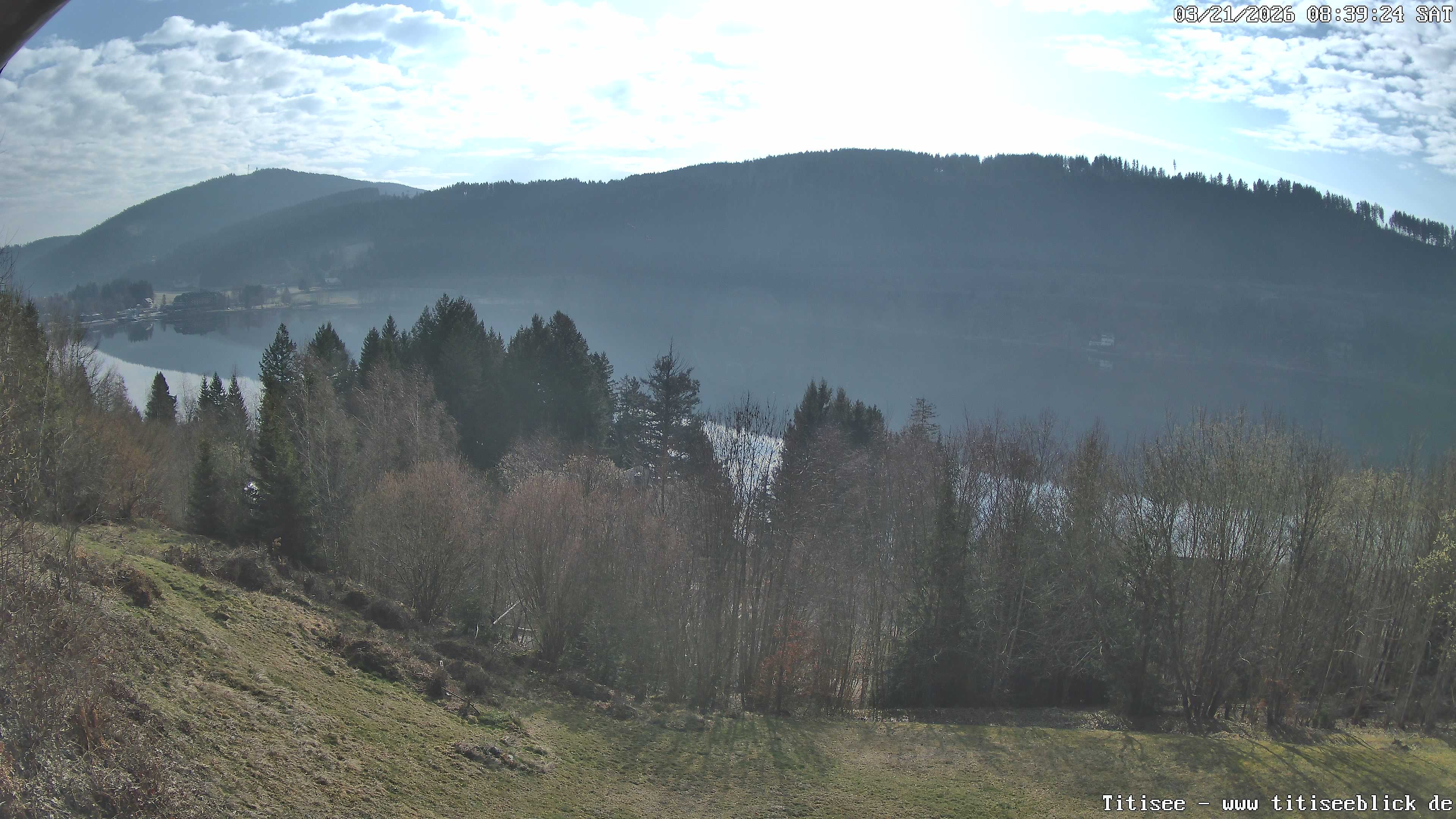 Archiv Foto Webcam Titisee: Westufer