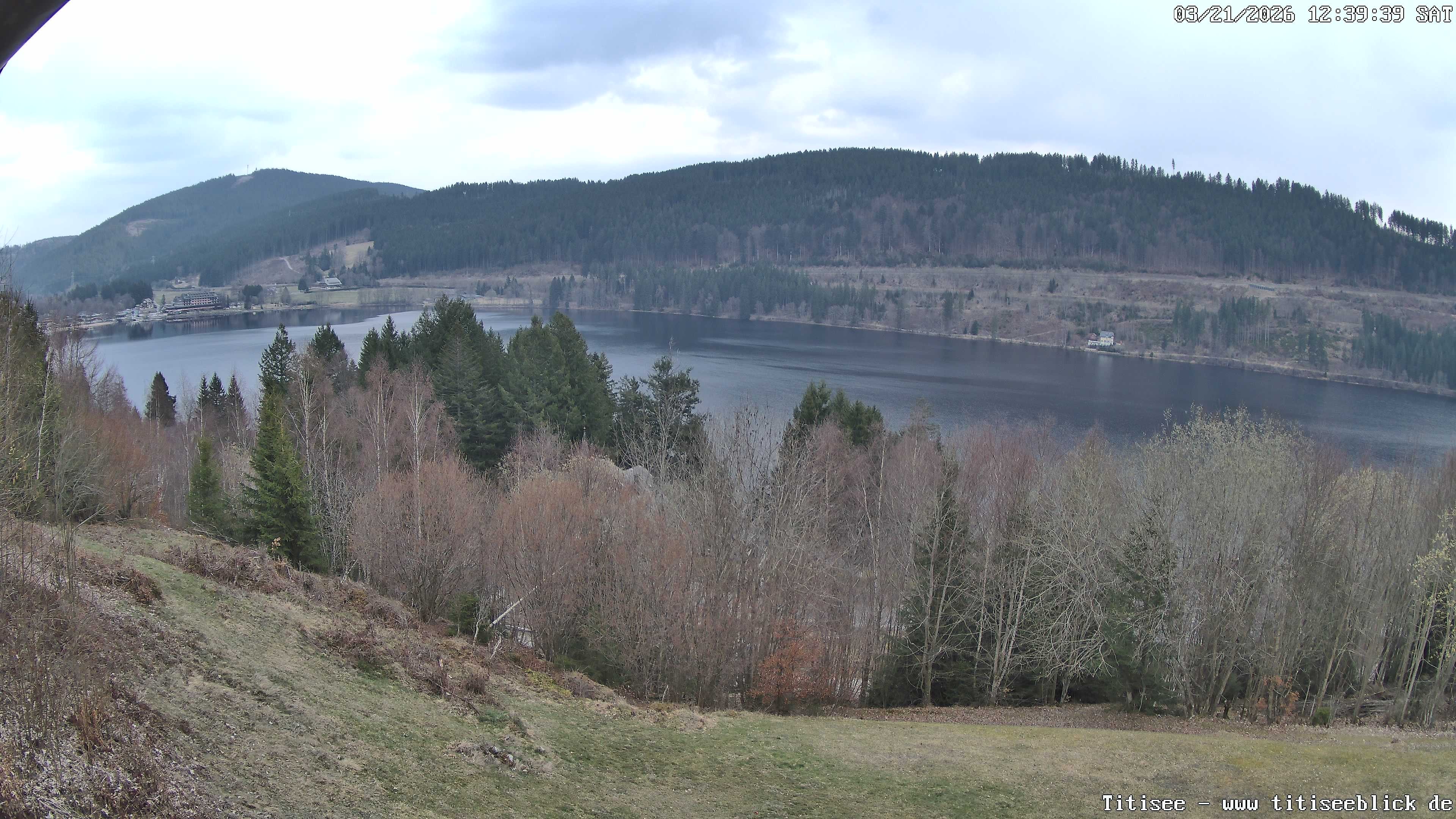 Archiv Foto Webcam Titisee: Westufer