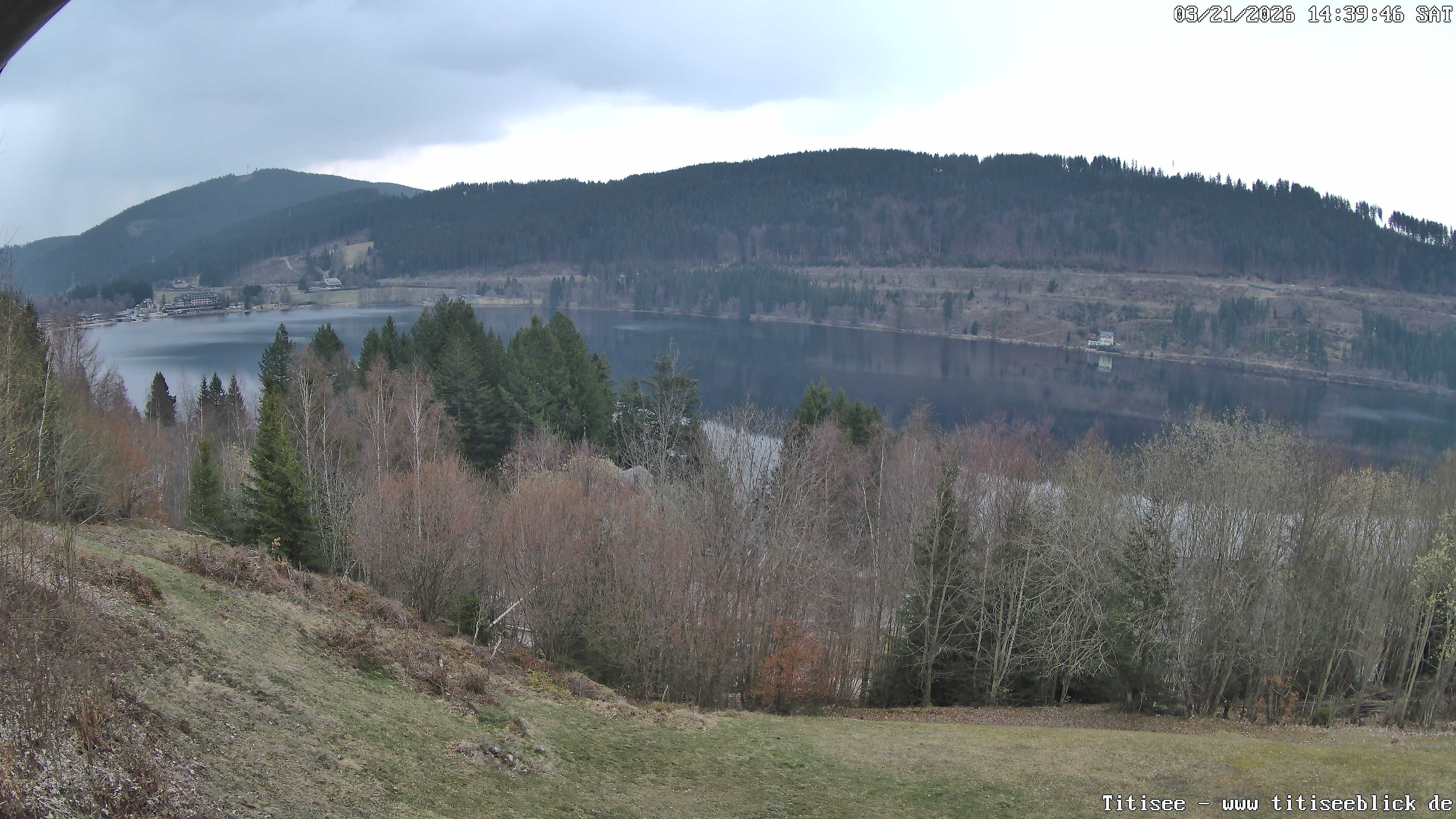 Archiv Foto Webcam Titisee: Westufer