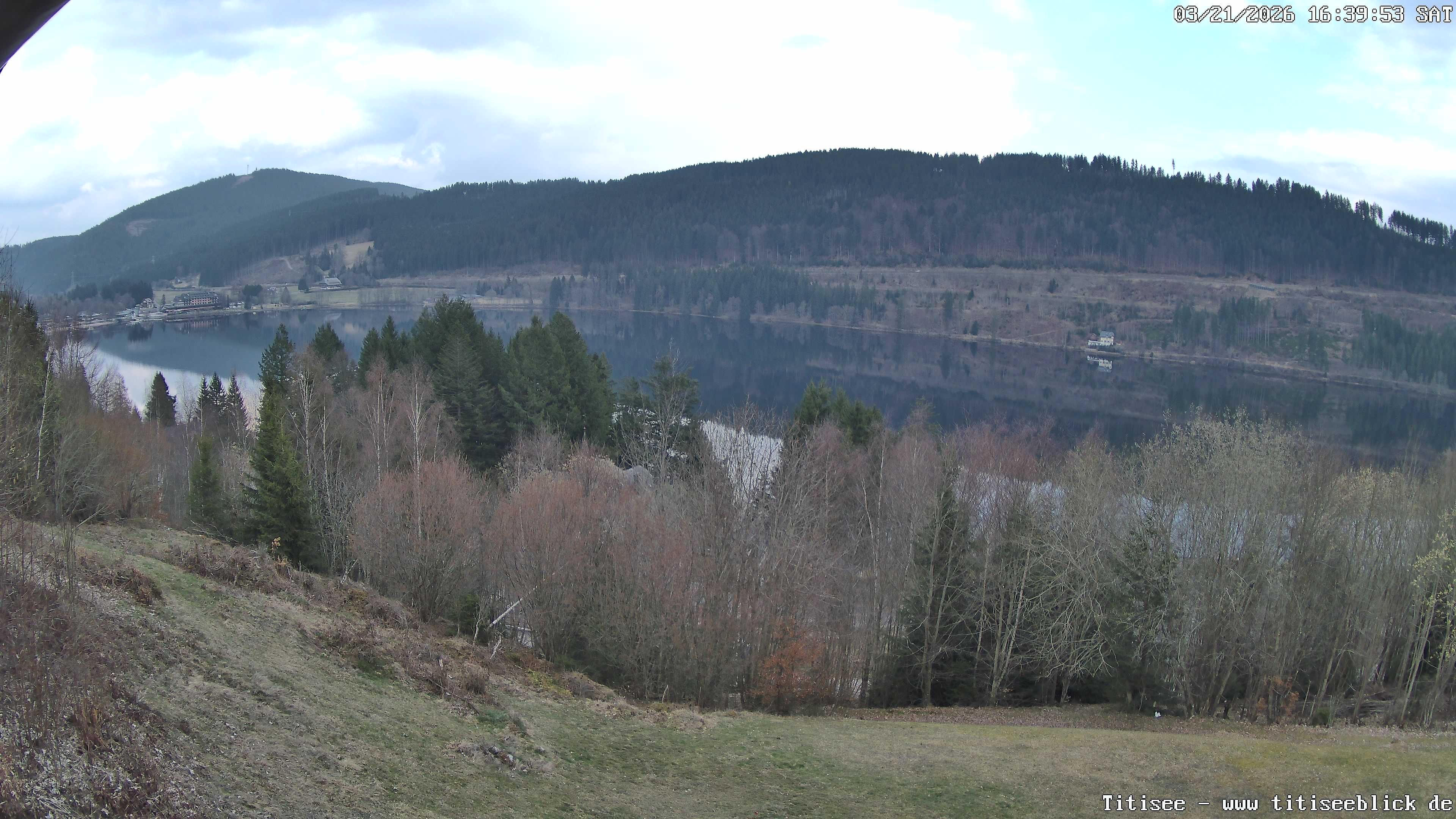 Archiv Foto Webcam Titisee: Westufer