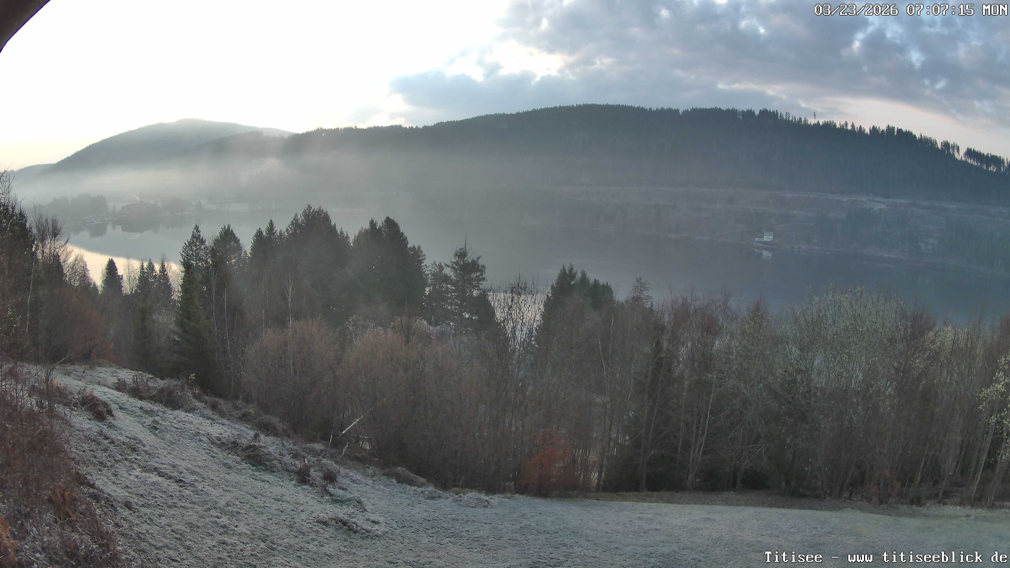 Archiv Foto Webcam Titisee: Westufer