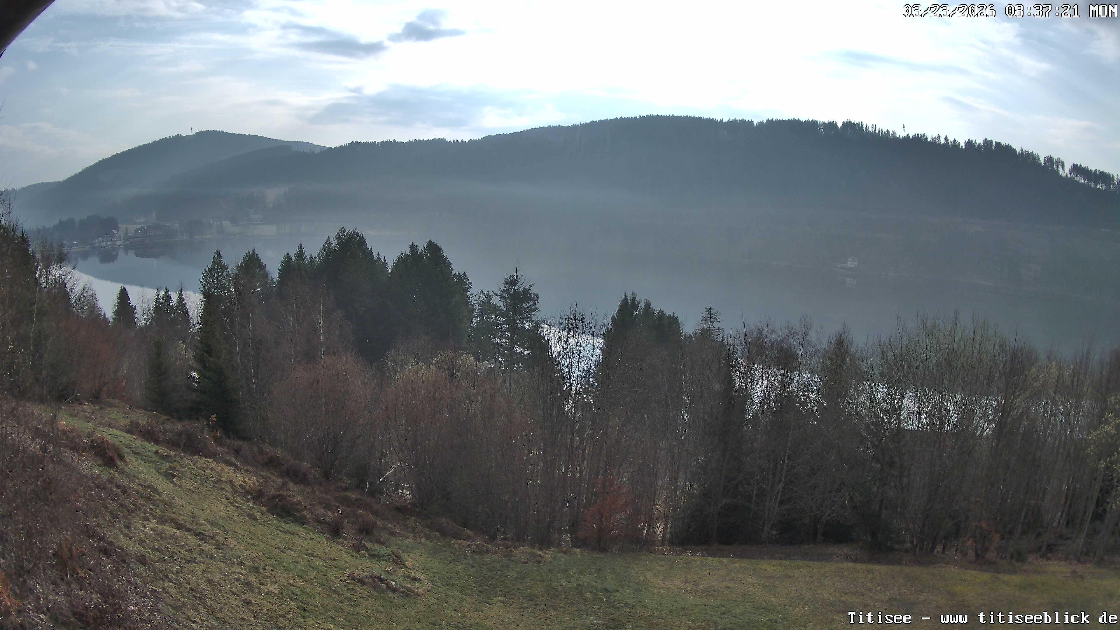 Archiv Foto Webcam Titisee: Westufer