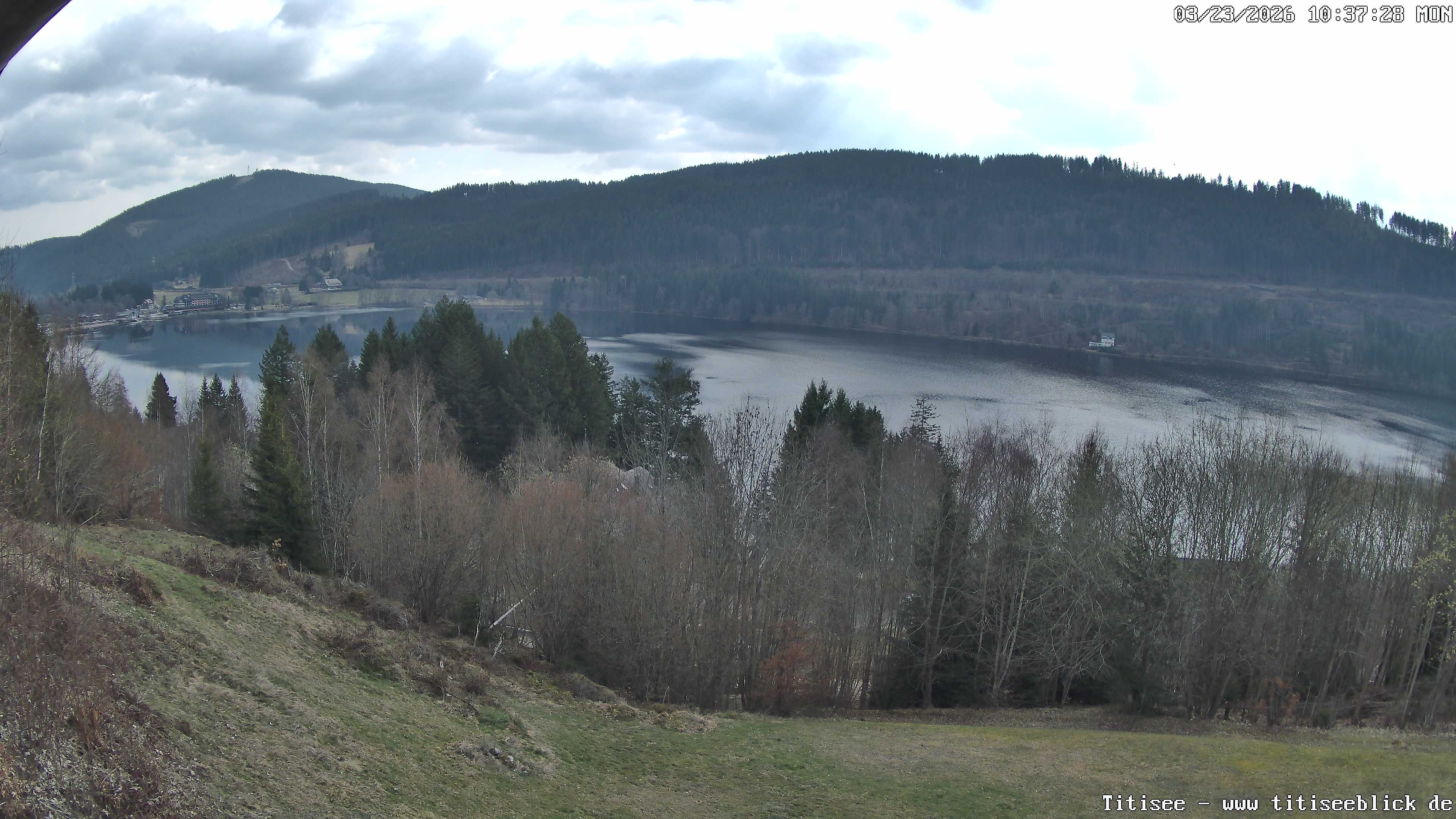 Archiv Foto Webcam Titisee: Westufer