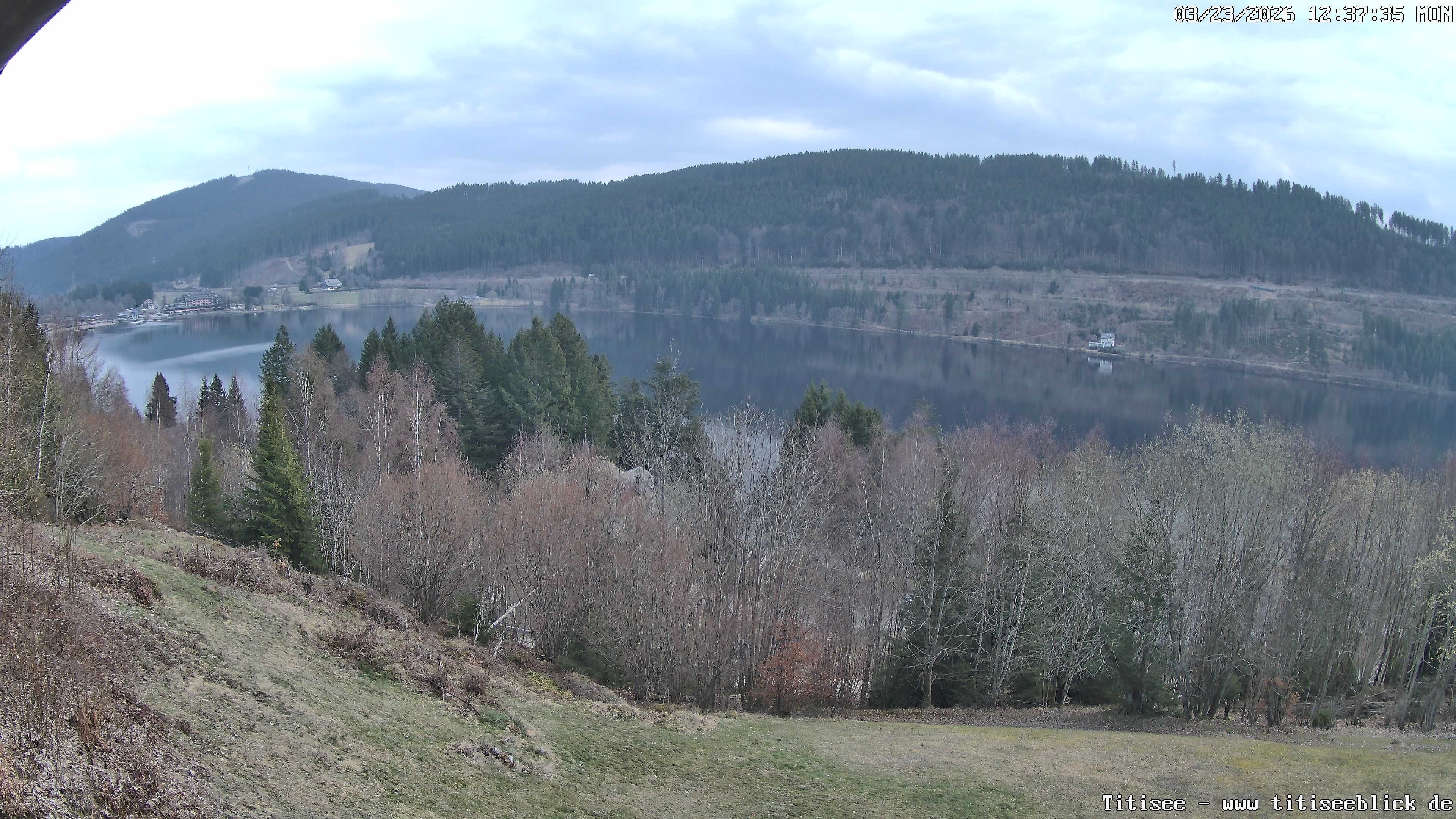 Archiv Foto Webcam Titisee: Westufer