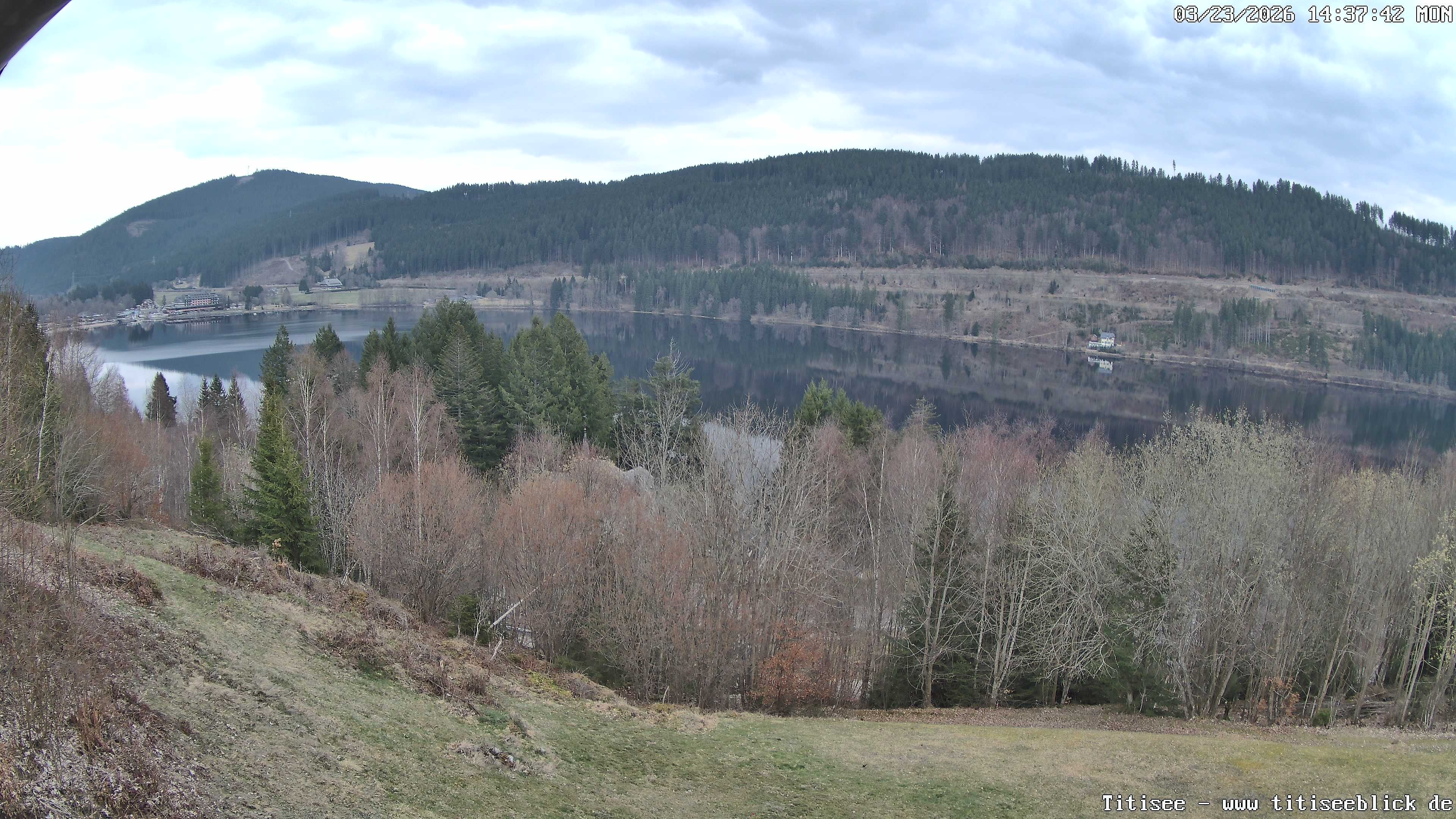 Archiv Foto Webcam Titisee: Westufer