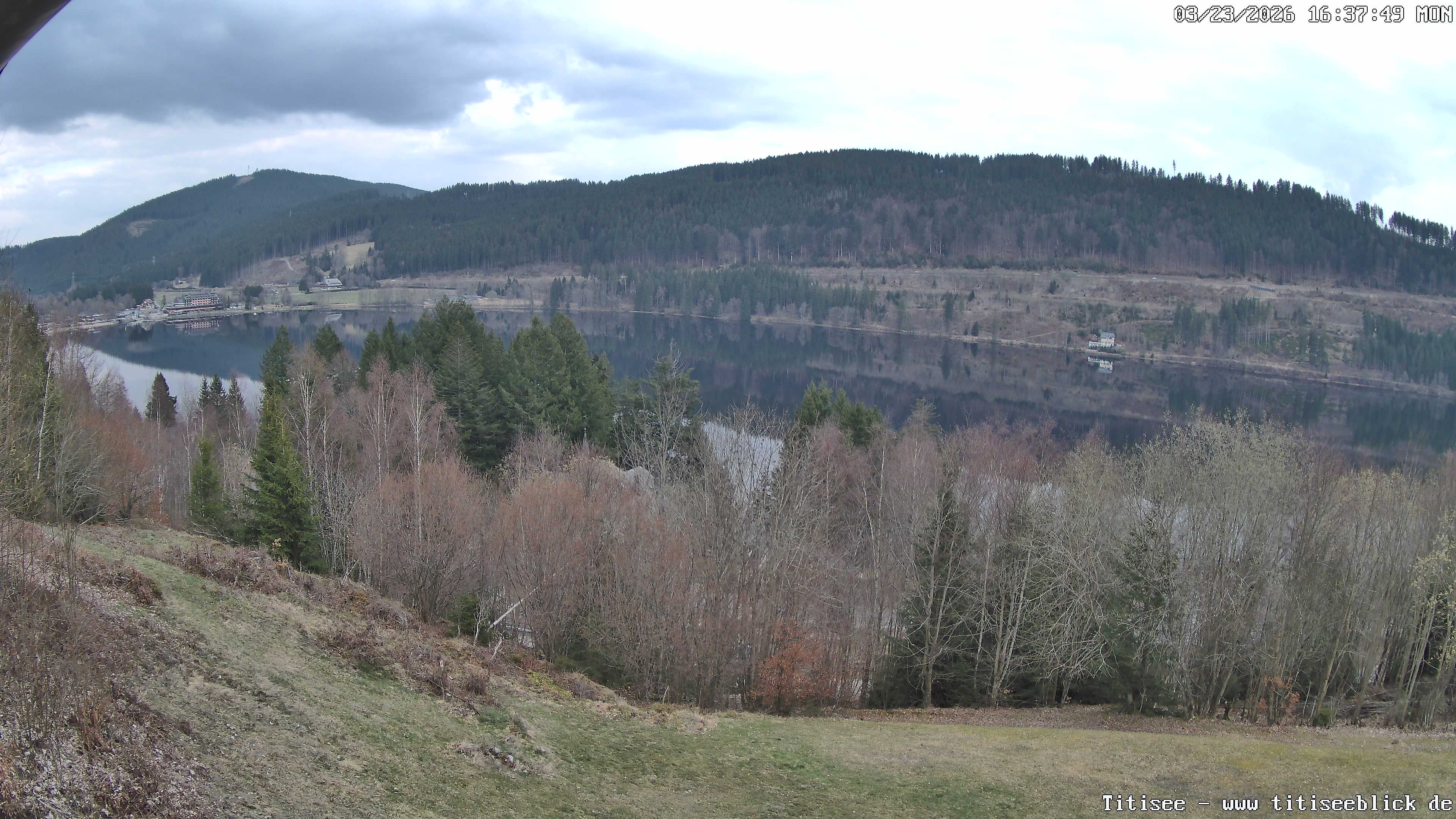 Archiv Foto Webcam Titisee: Westufer