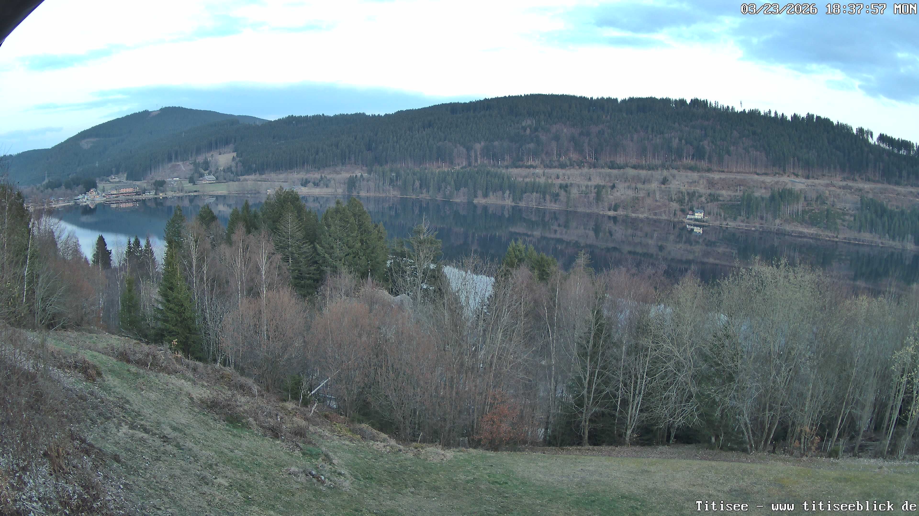 Archiv Foto Webcam Titisee: Westufer