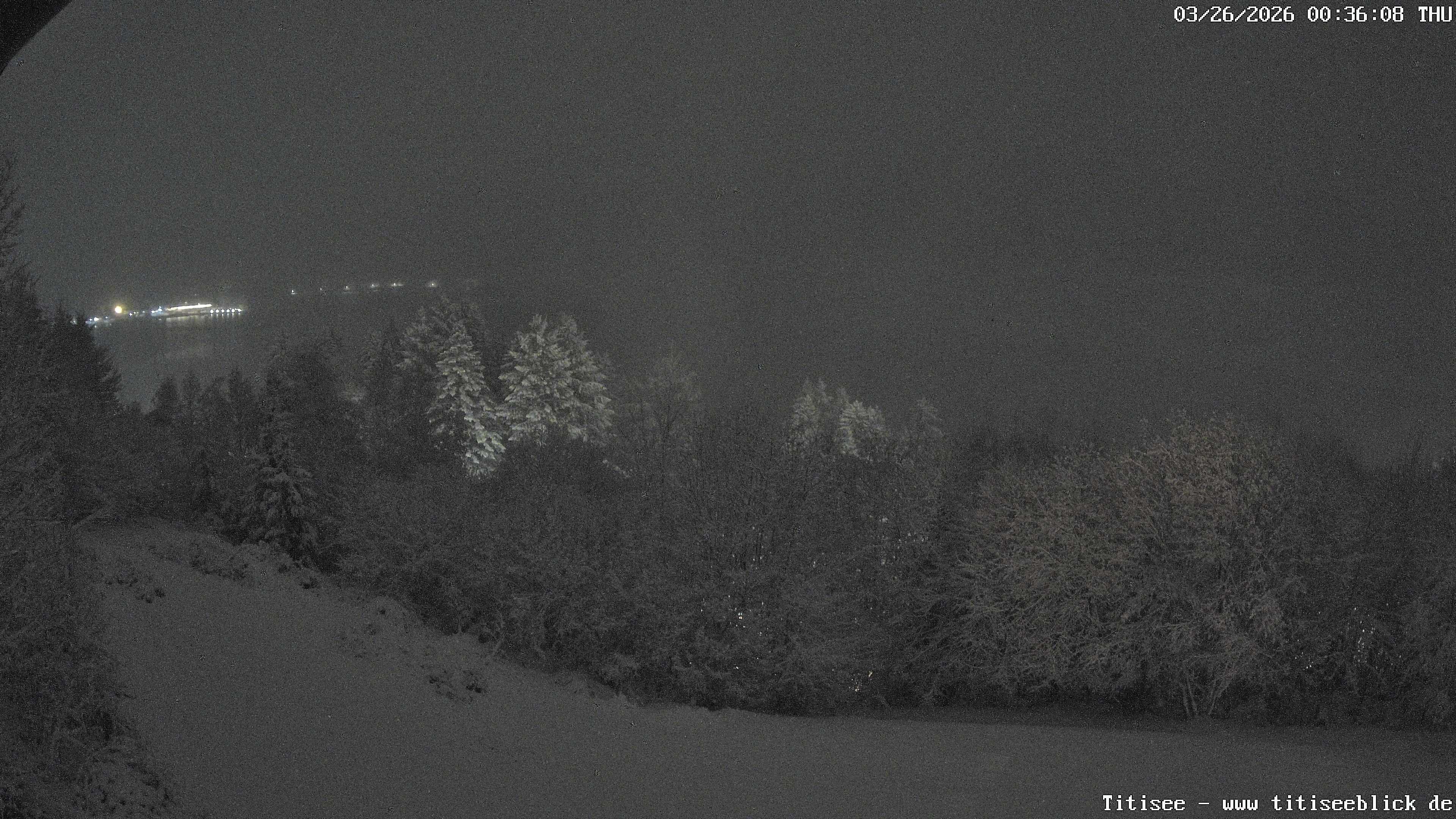 Archiv Foto Webcam Titisee: Westufer