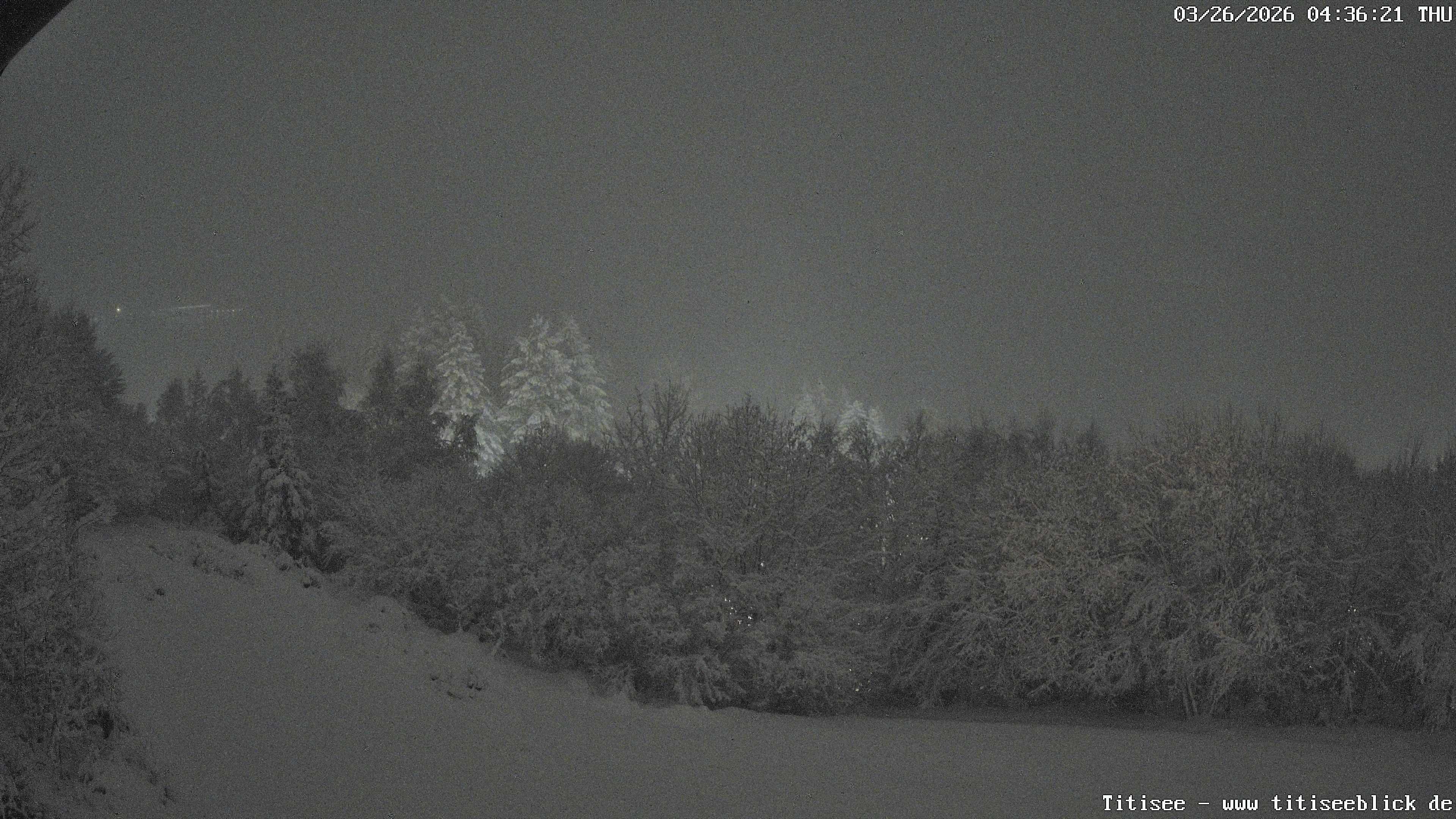 Archiv Foto Webcam Titisee: Westufer