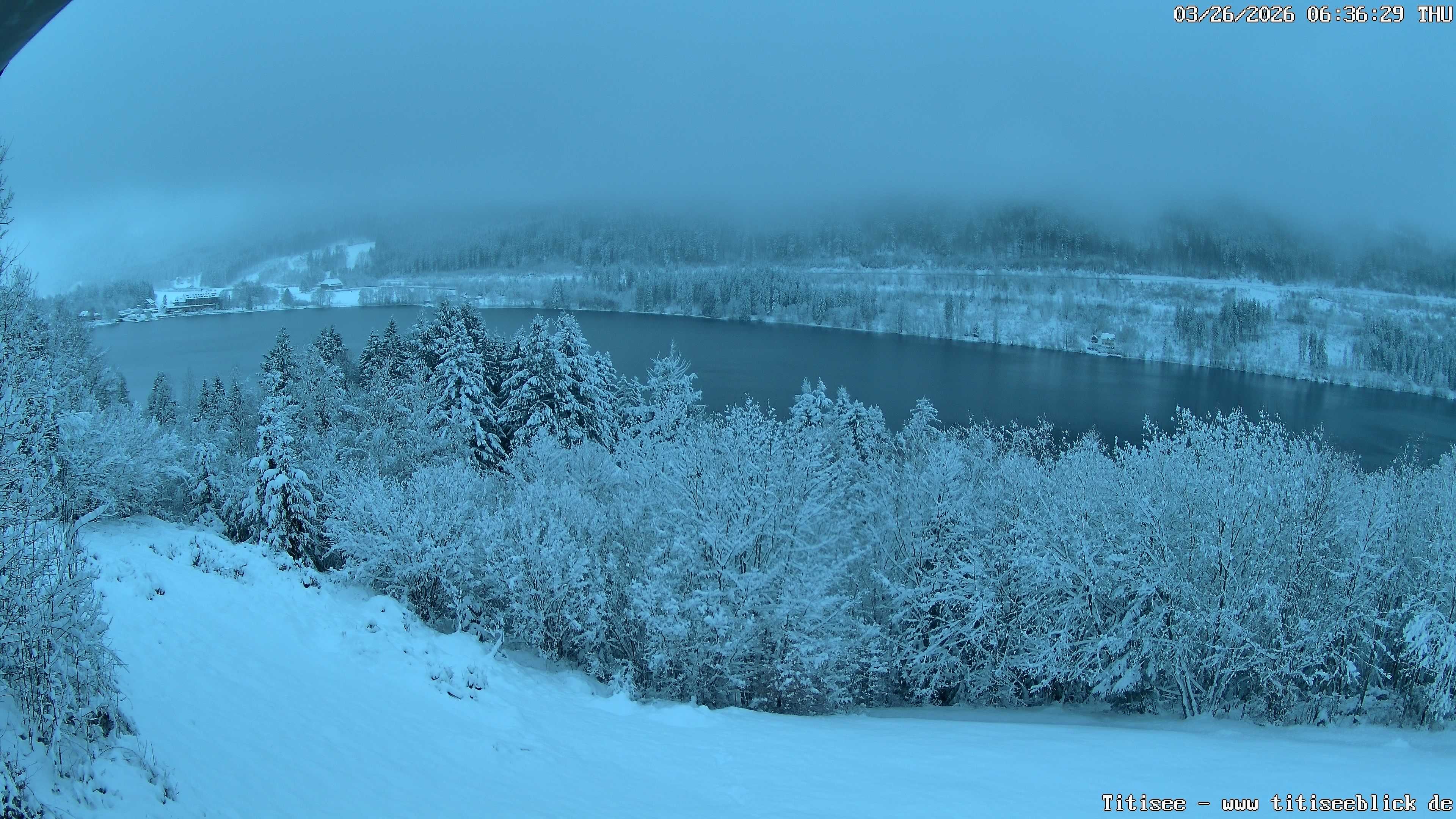 Archiv Foto Webcam Titisee: Westufer