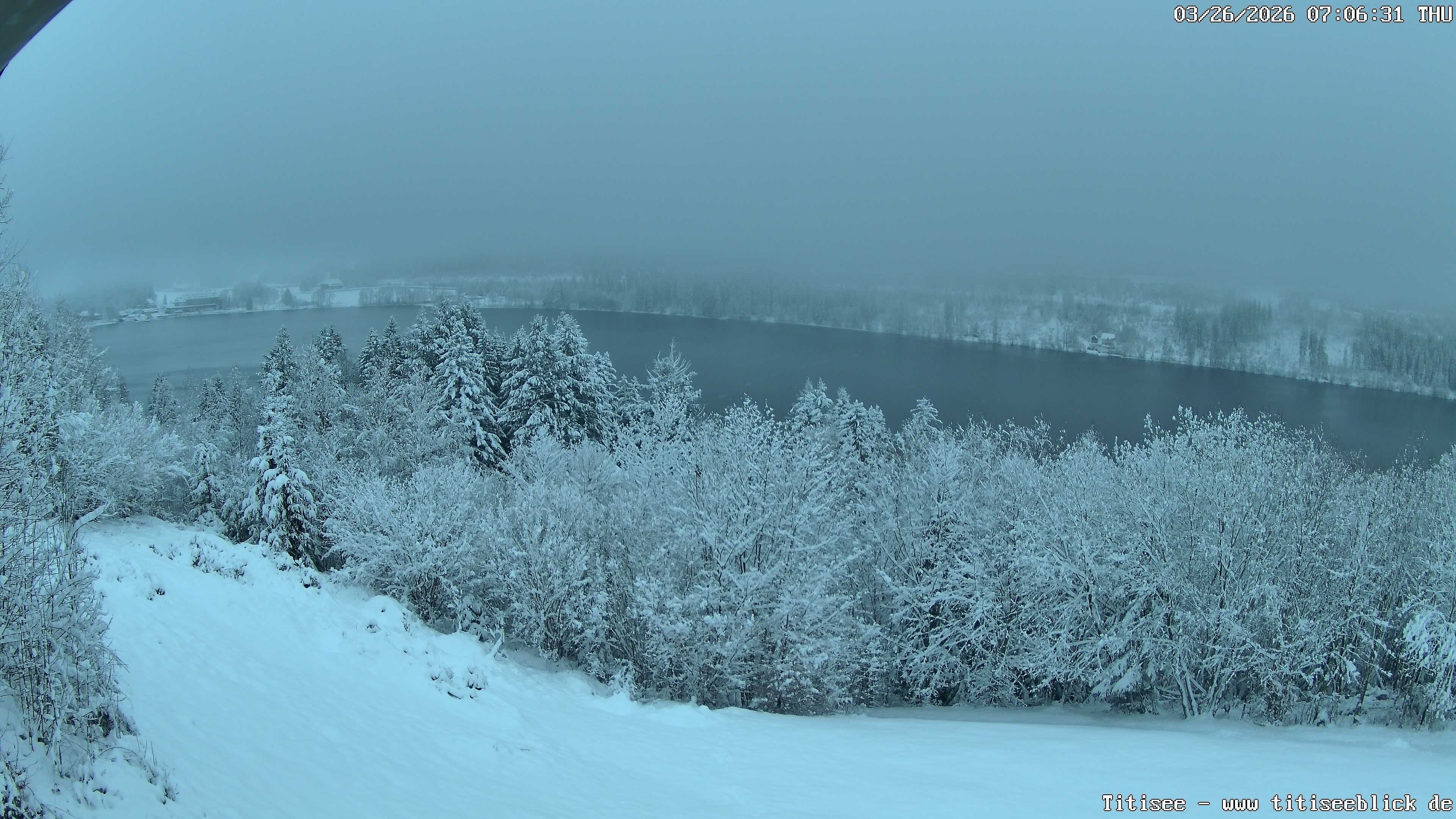 Archiv Foto Webcam Titisee: Westufer