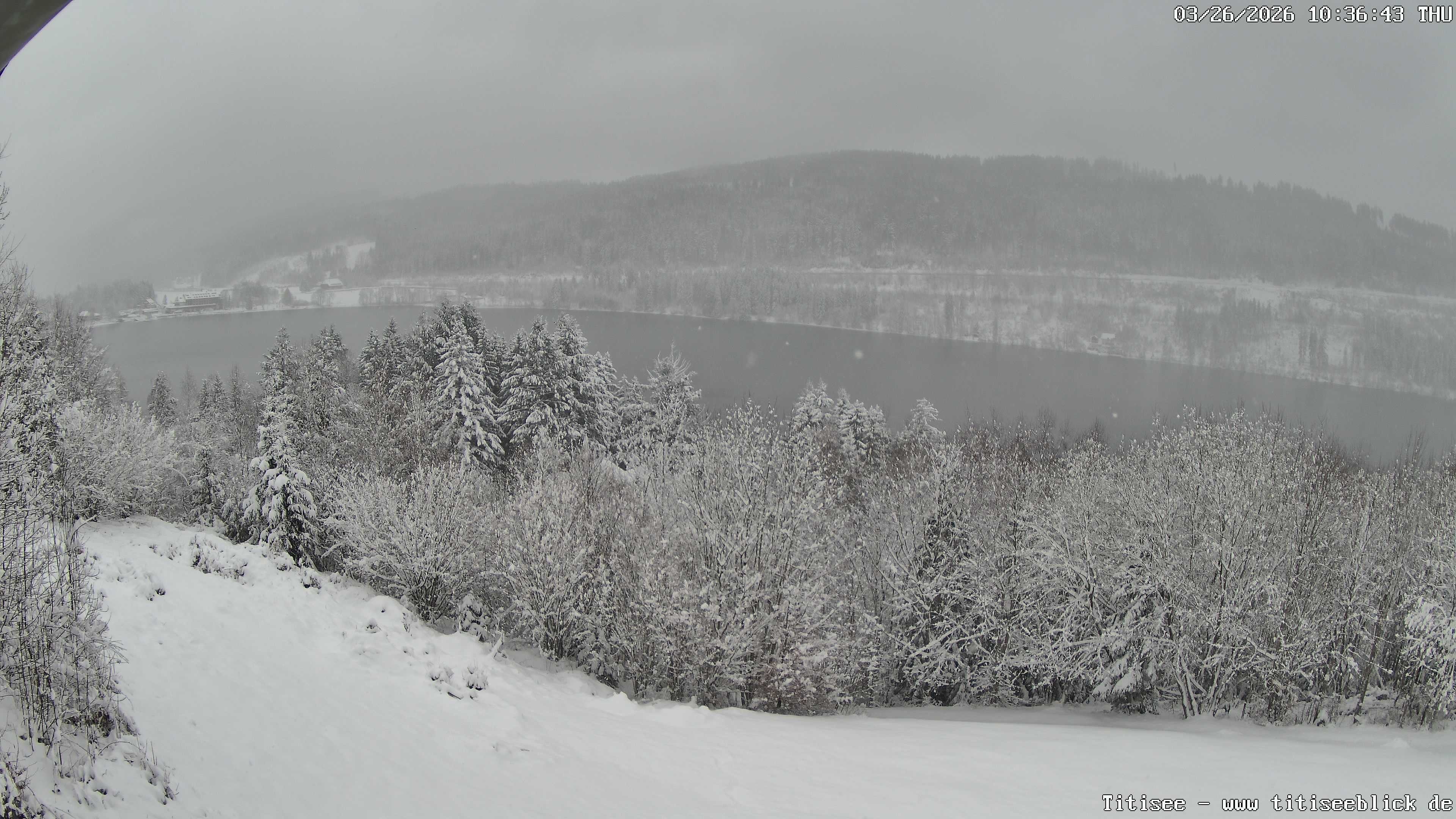 Archiv Foto Webcam Titisee: Westufer