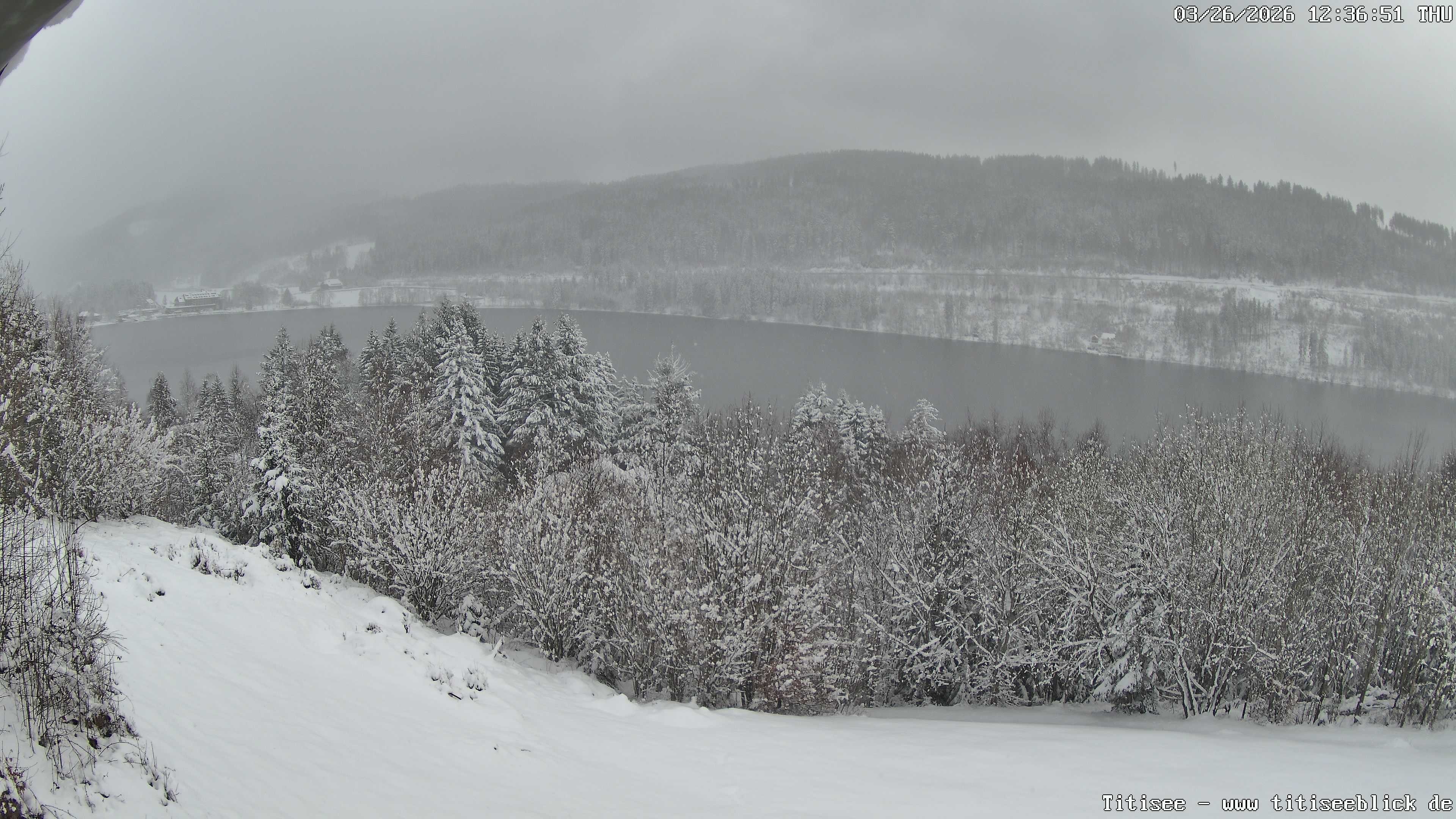 Archiv Foto Webcam Titisee: Westufer