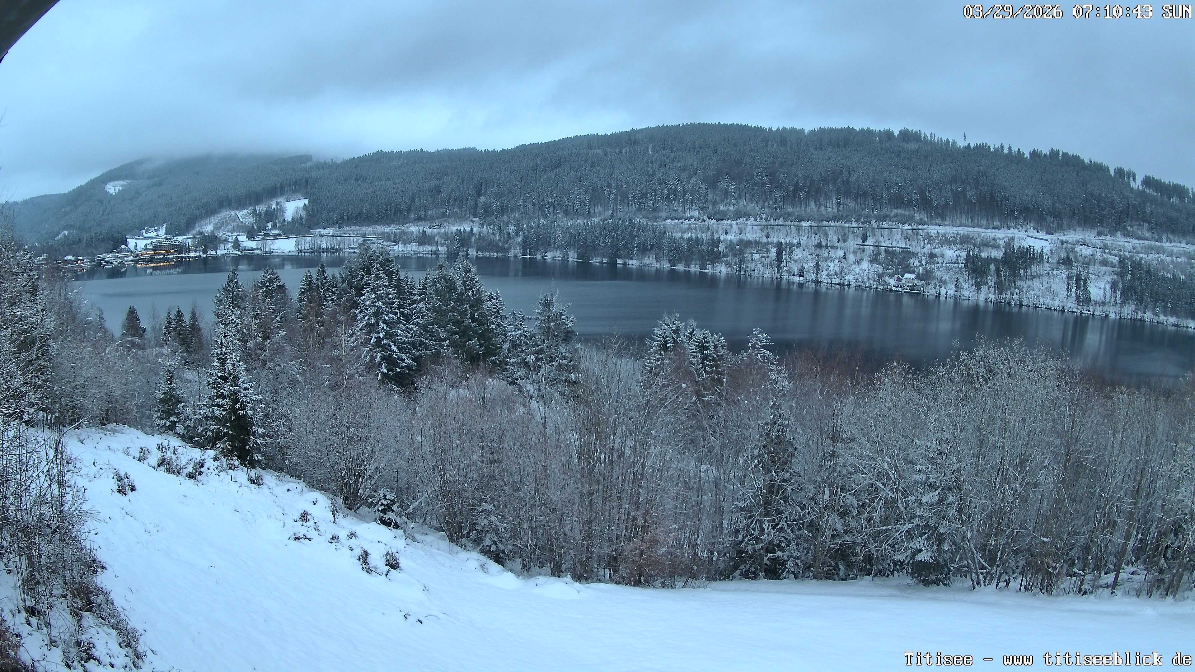 Archiv Foto Webcam Titisee: Westufer