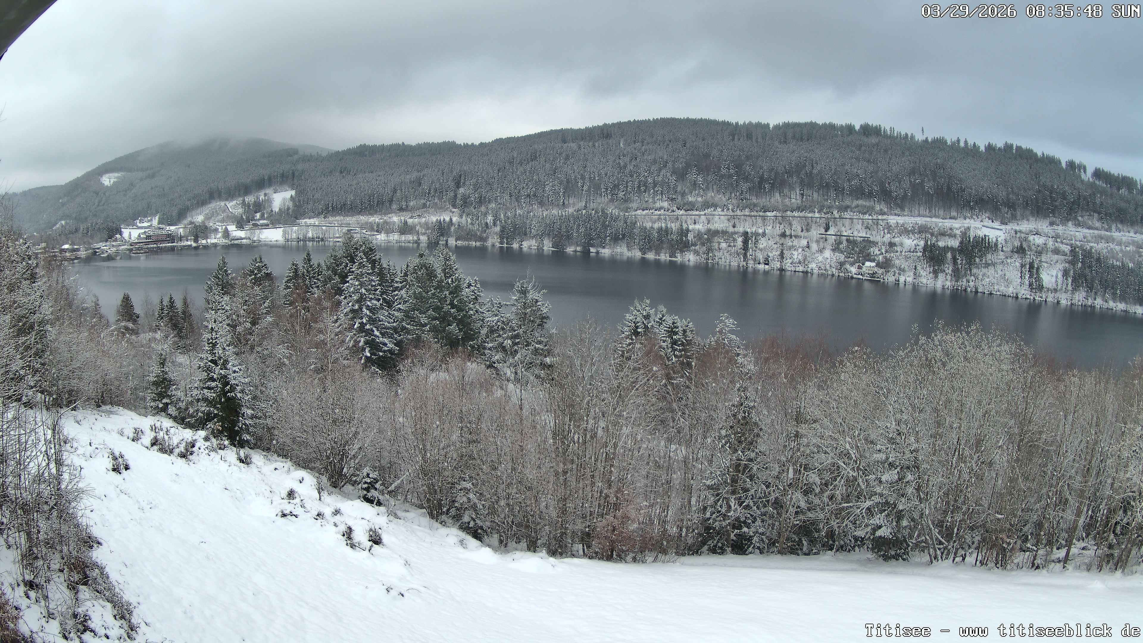 Archiv Foto Webcam Titisee: Westufer