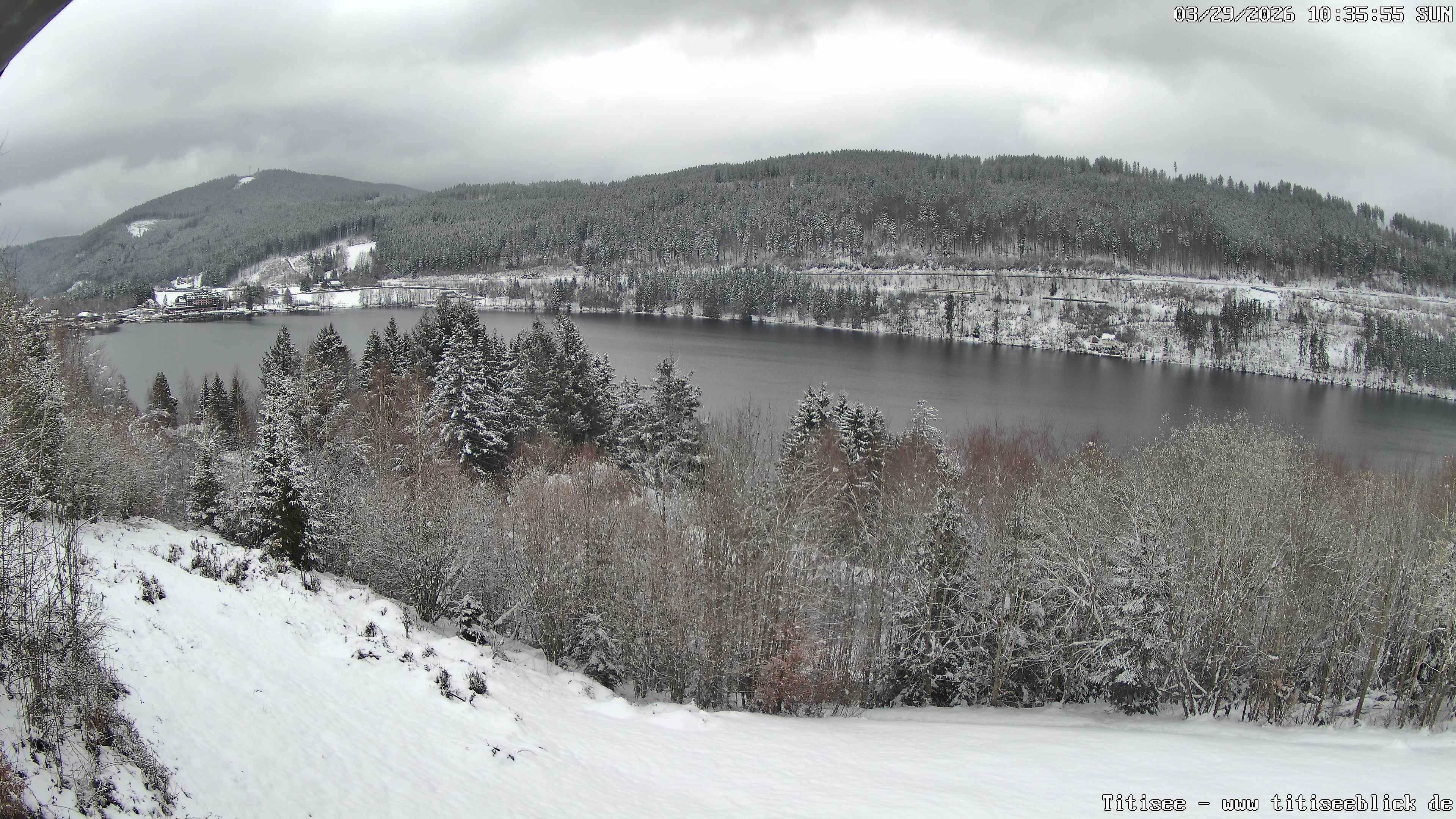 Archiv Foto Webcam Titisee: Westufer