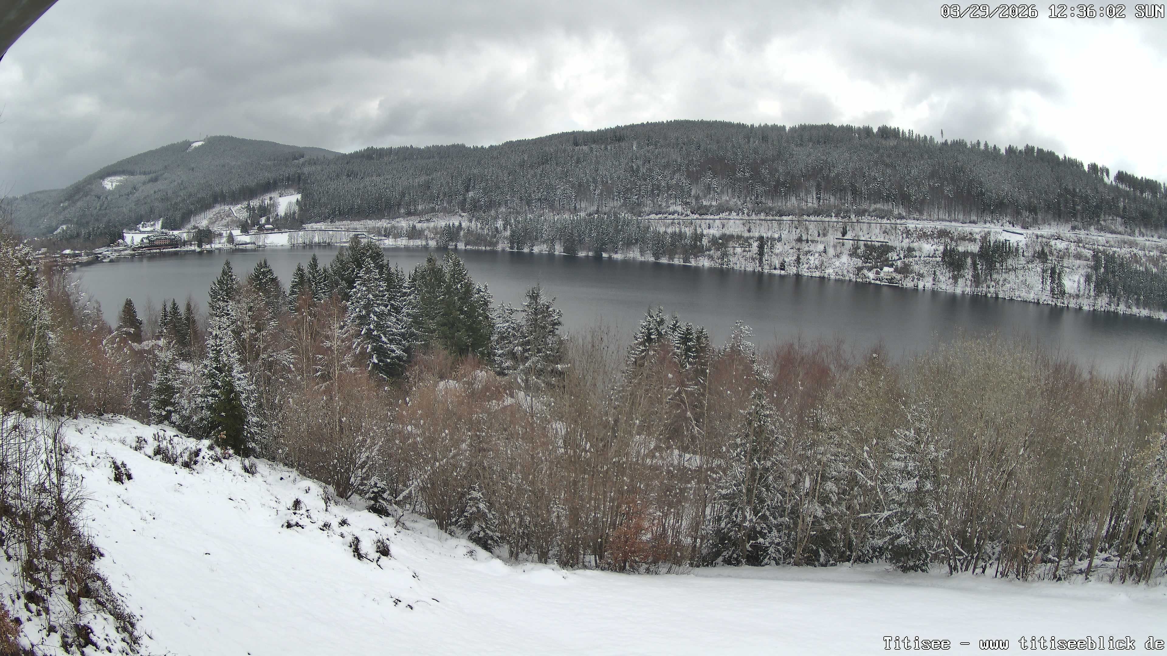 Archiv Foto Webcam Titisee: Westufer