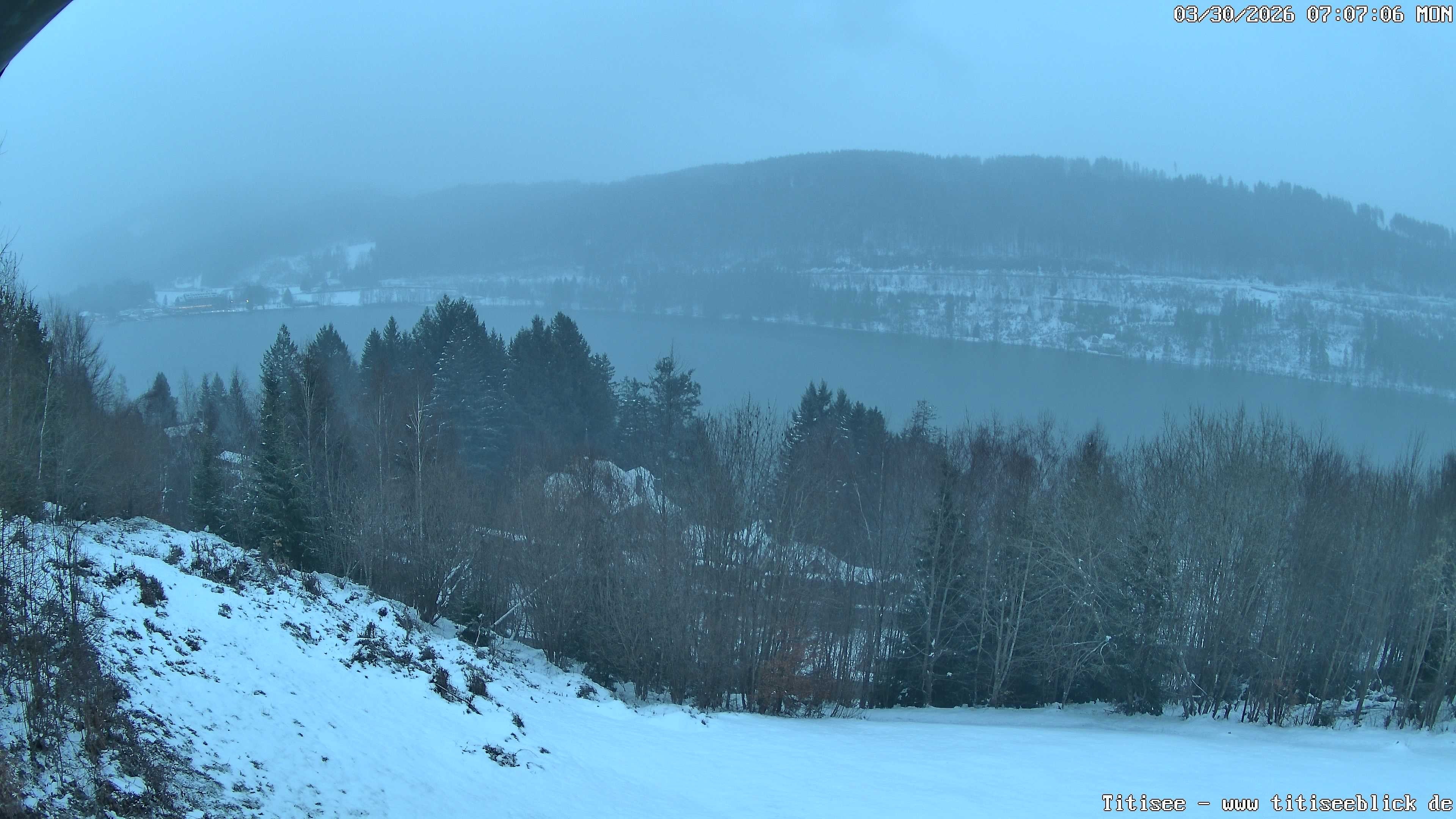 Archiv Foto Webcam Titisee: Westufer