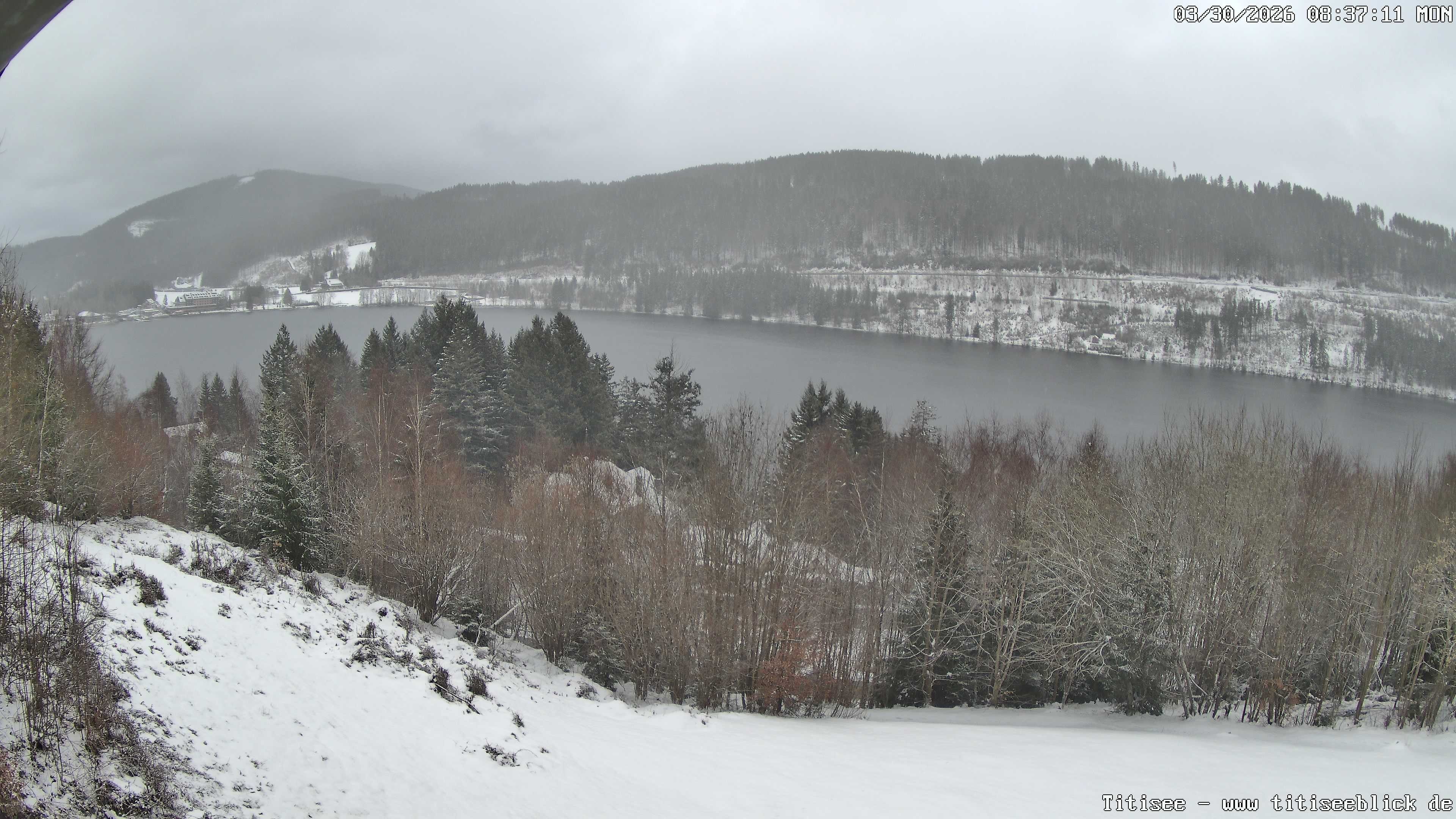 Archiv Foto Webcam Titisee: Westufer