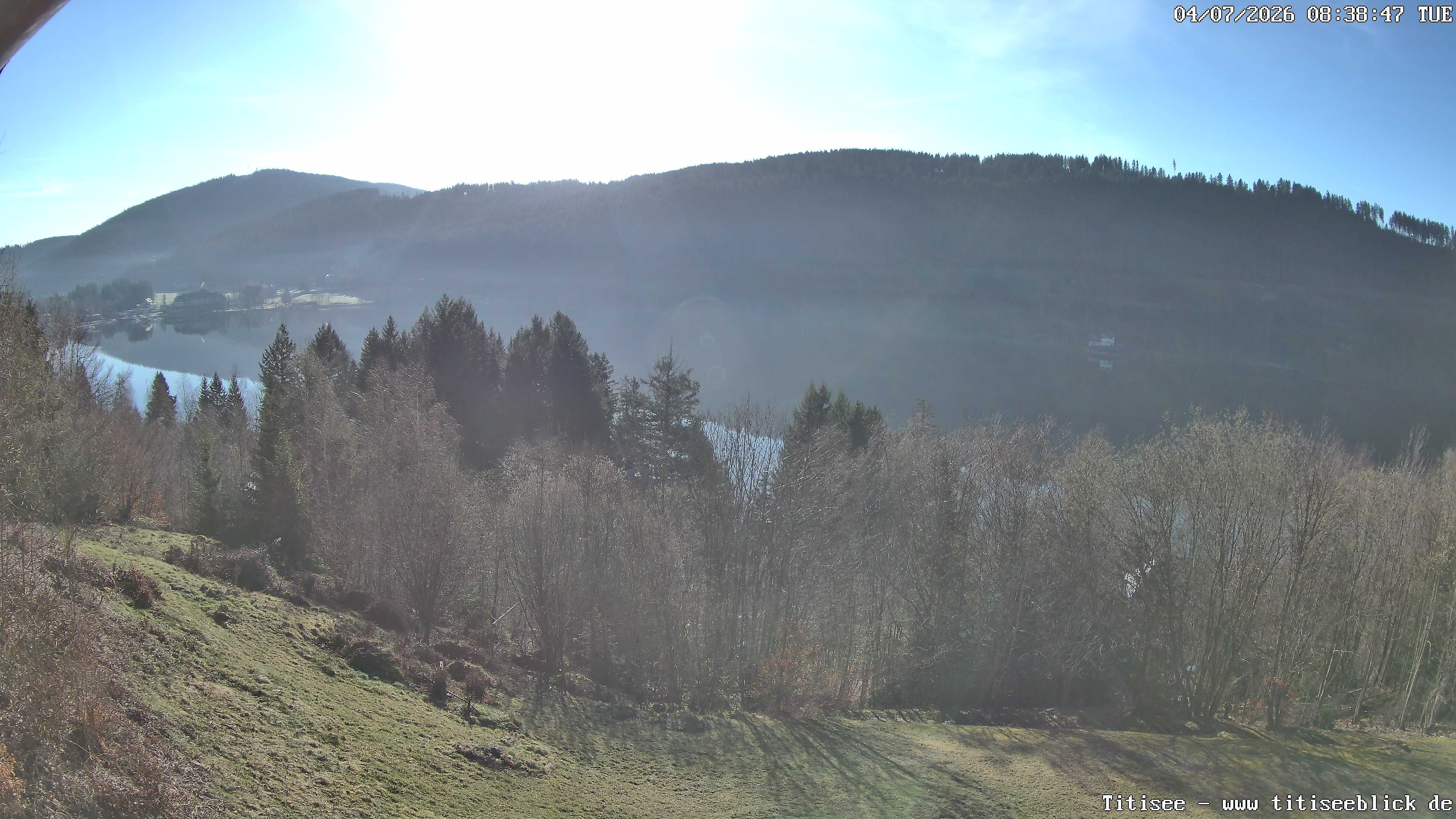 Archiv Foto Webcam Titisee: Westufer