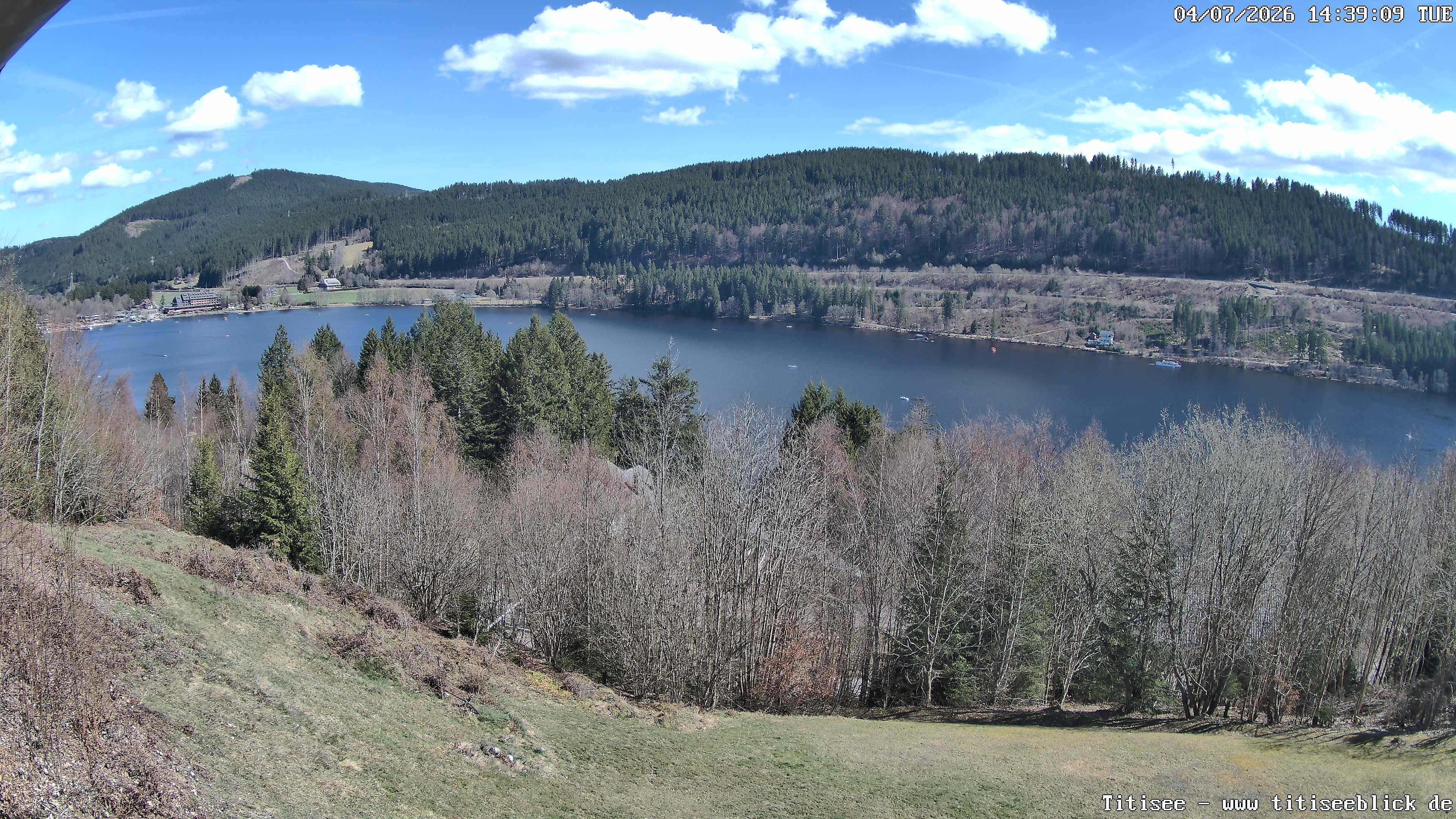 Archiv Foto Webcam Titisee: Westufer