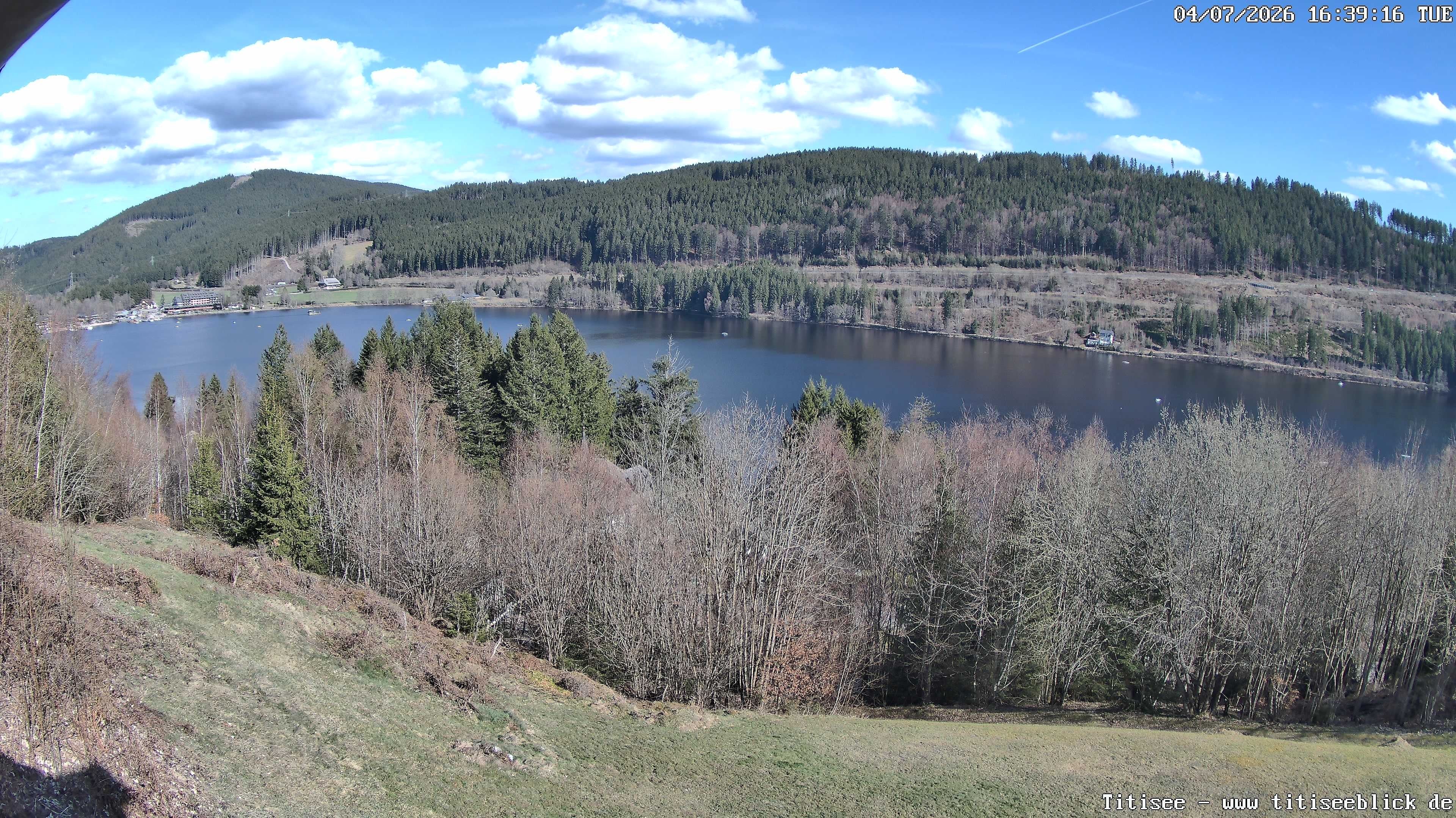 Archiv Foto Webcam Titisee: Westufer